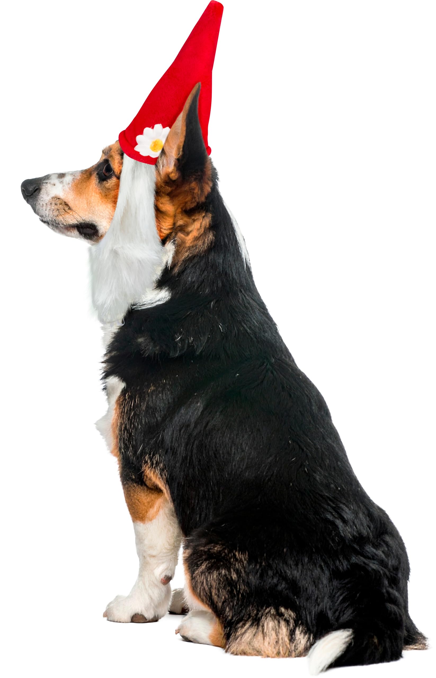 Rubie's Garden Gnome Hat with Beard for Pets, Medium/Large