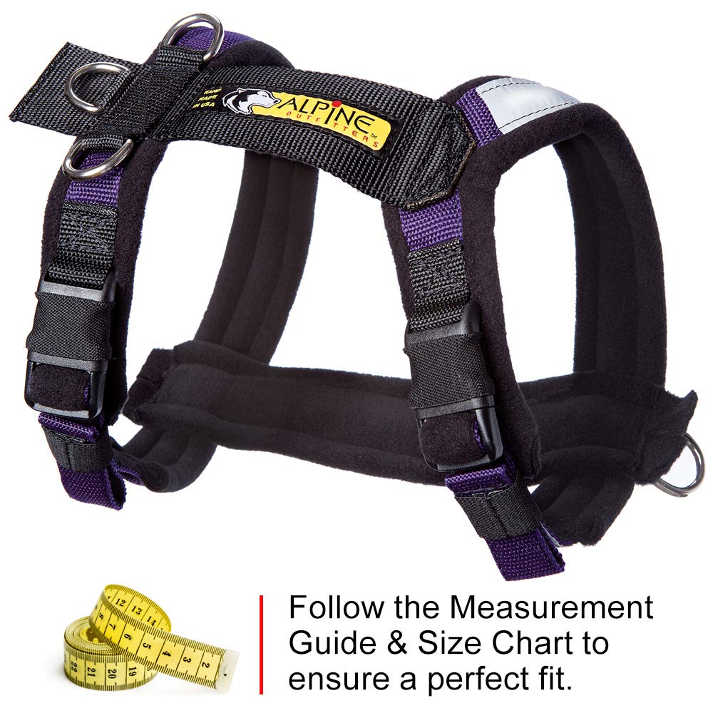 Alpine Outfitters Urban Trail Adjustable Harness - Small, Purple, Alloy Steel Material