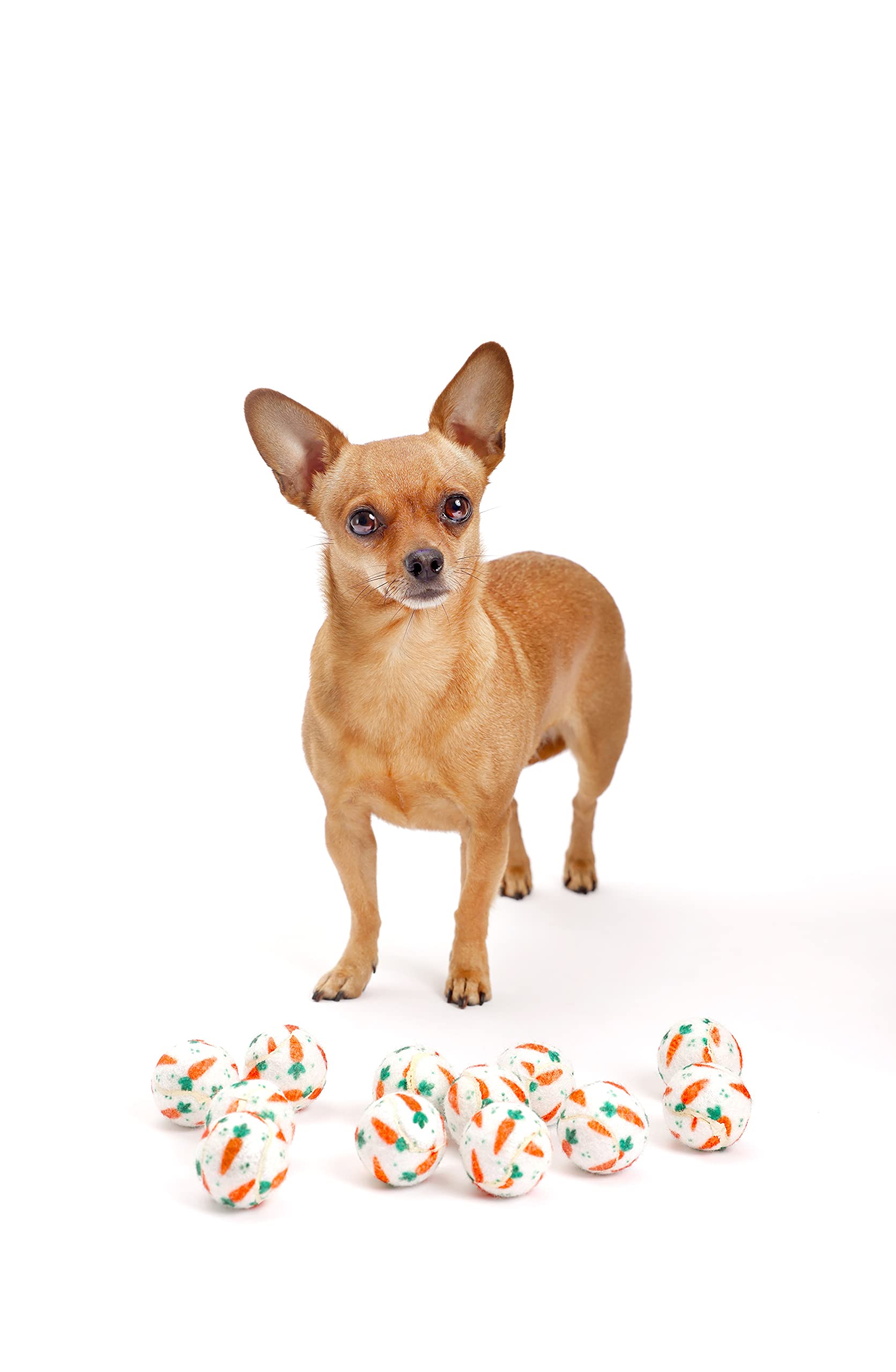 Midlee Mini Easter Carrot Dog Tennis Balls