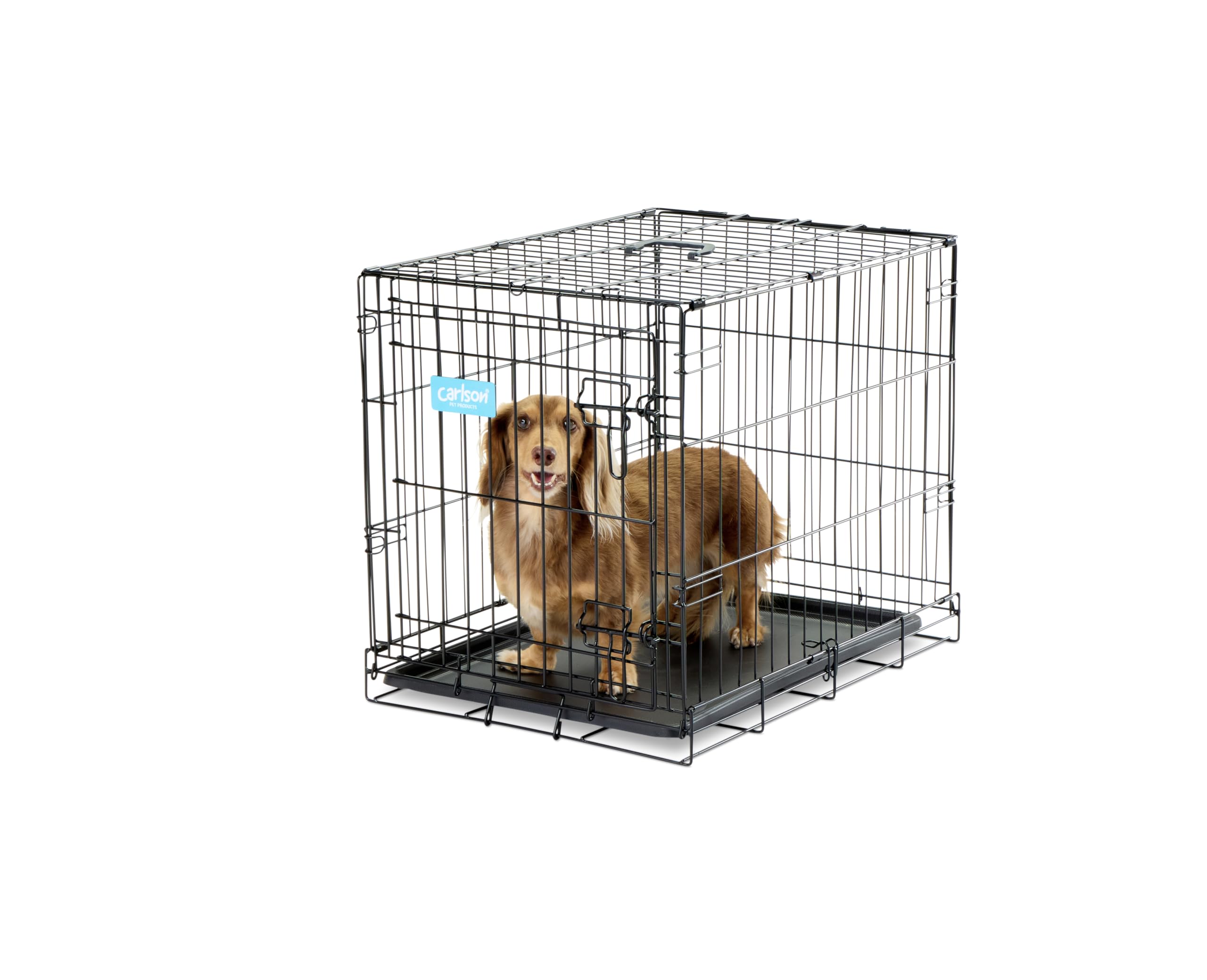 Carlson Pet Products Secure And Foldable Single Door Metal Dog Crate, Small, 24.0''L X 18.0''W X 19.0''H