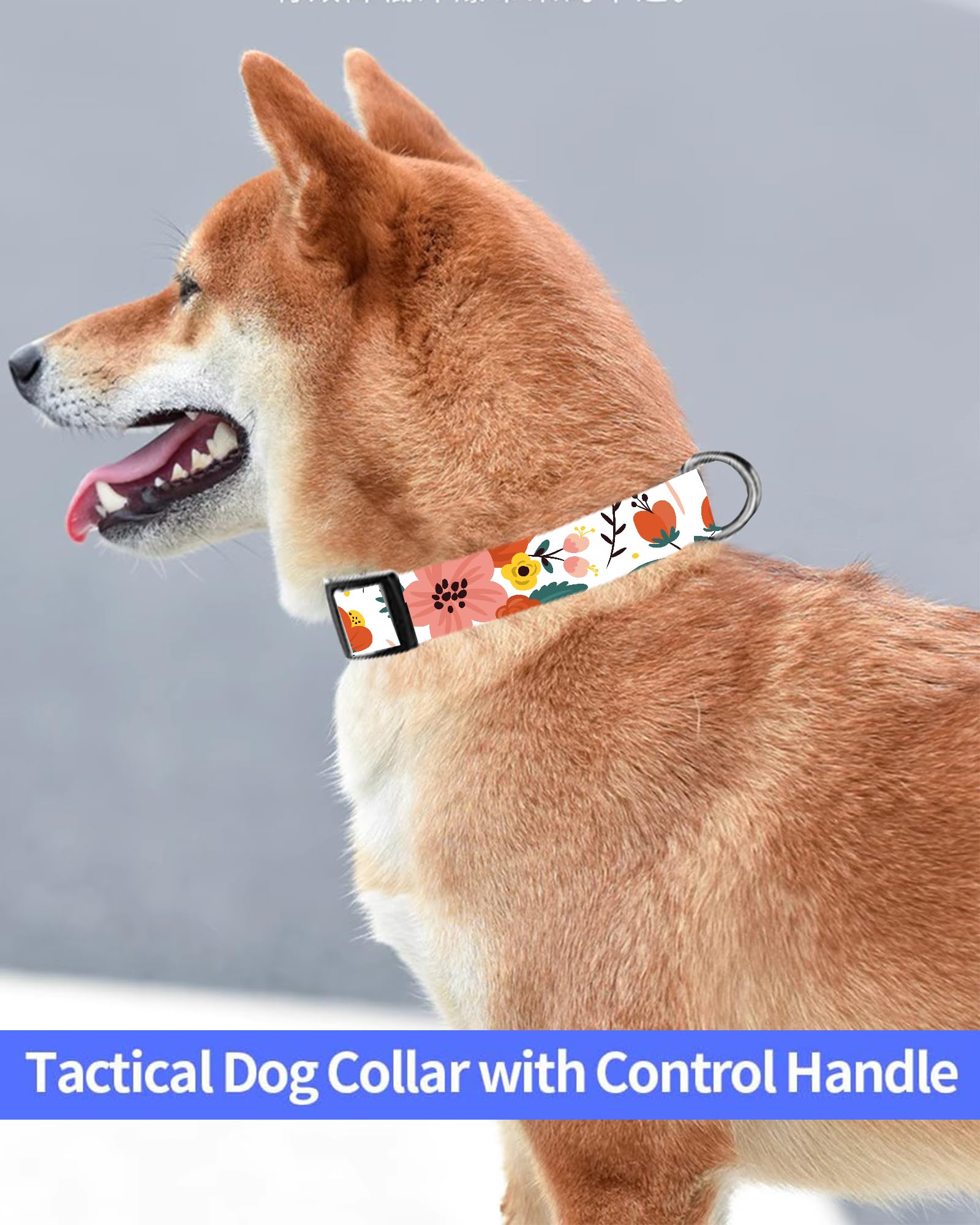 Sxboxing Dog Collar, Cute Dog Collar For Small Medium Large Dogs, Personalized Adjustable Soft Pet Collars With Quick Release Bu
