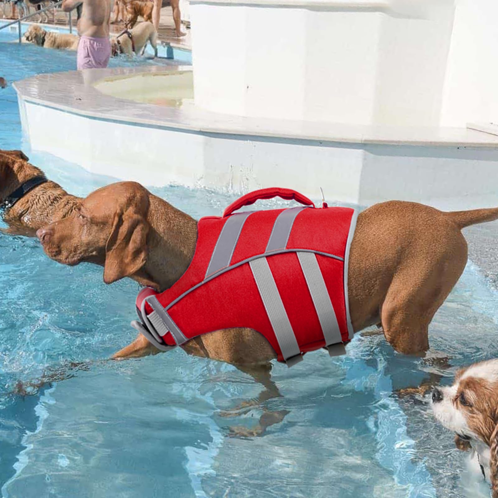 Kuoser Dog Life Jacket With Reflective Stripes, Adjustable High Visibility Dog Life Vest With High Flotation Swimsuit For Small Medium And Large Dogs