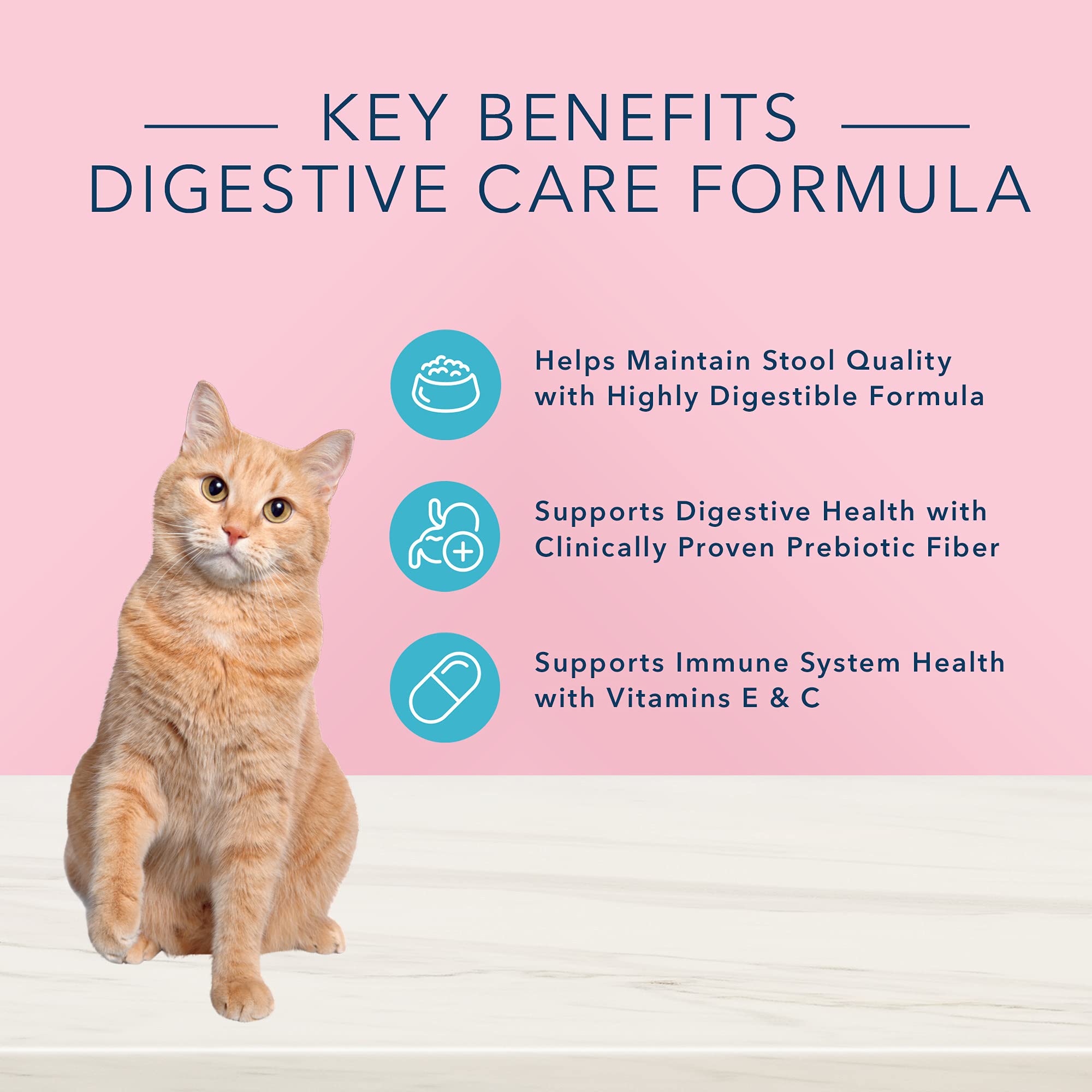 Blue Buffalo True Solutions Blissful Belly Digestive Care Natural Dry Food for Adult Cats, Chicken, 3.5-lb Bag