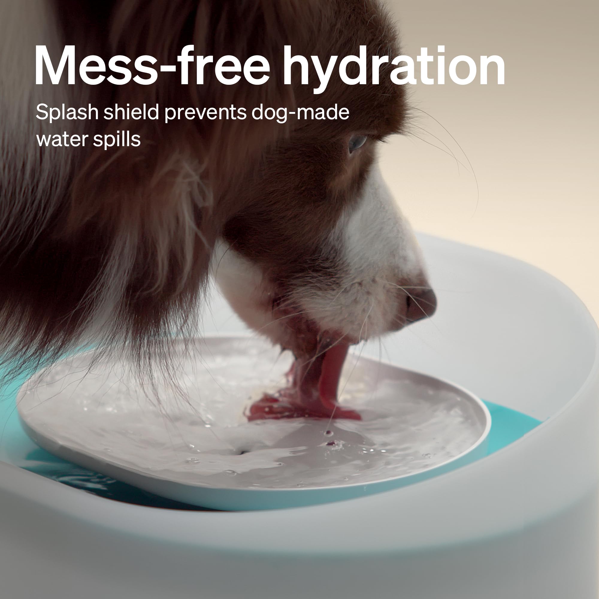 Petlibro Dog Water Fountain, 2.1Gal/8L Capsule Dog Fountain For Medium To Large Dogs, Anti-Splash Dog Water Bowl Dispenser, Supe