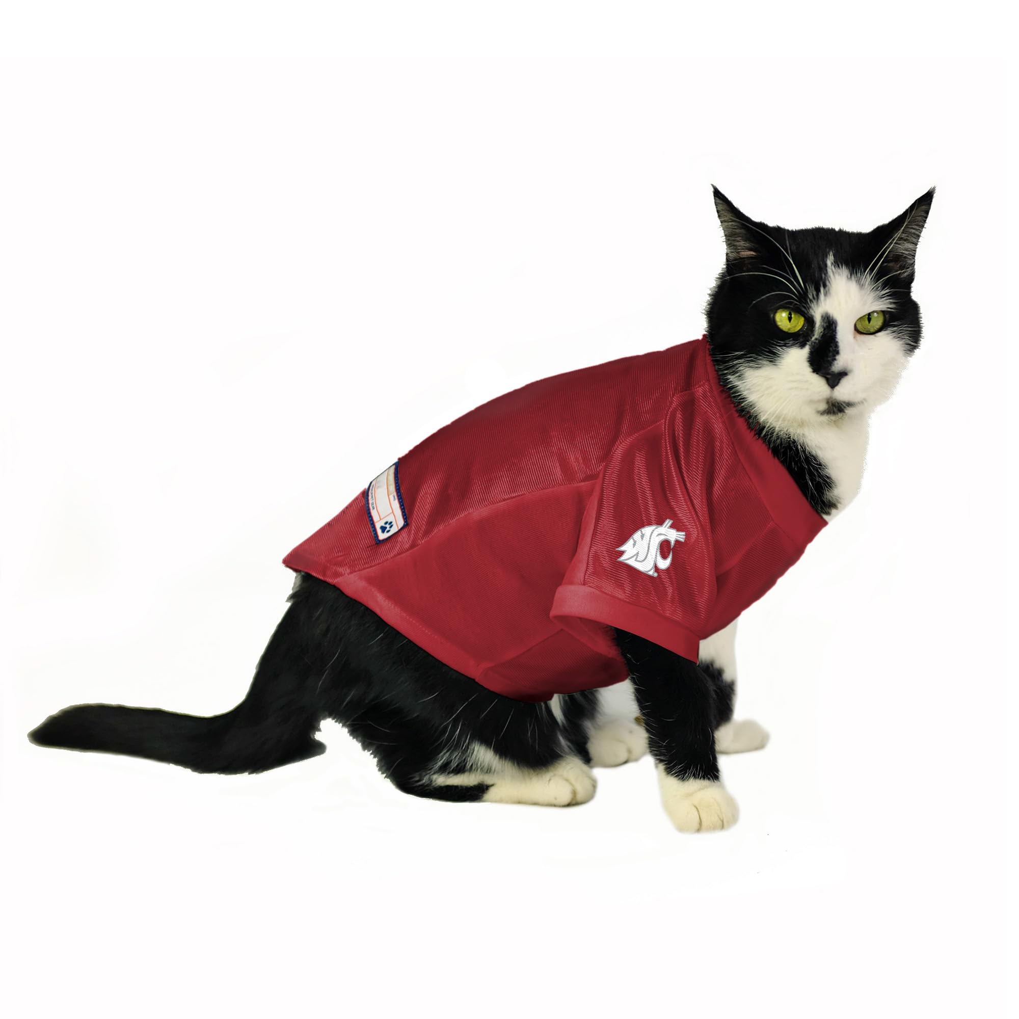 Washington State Cougars Pet Jersey Stretch Size M - Special Order