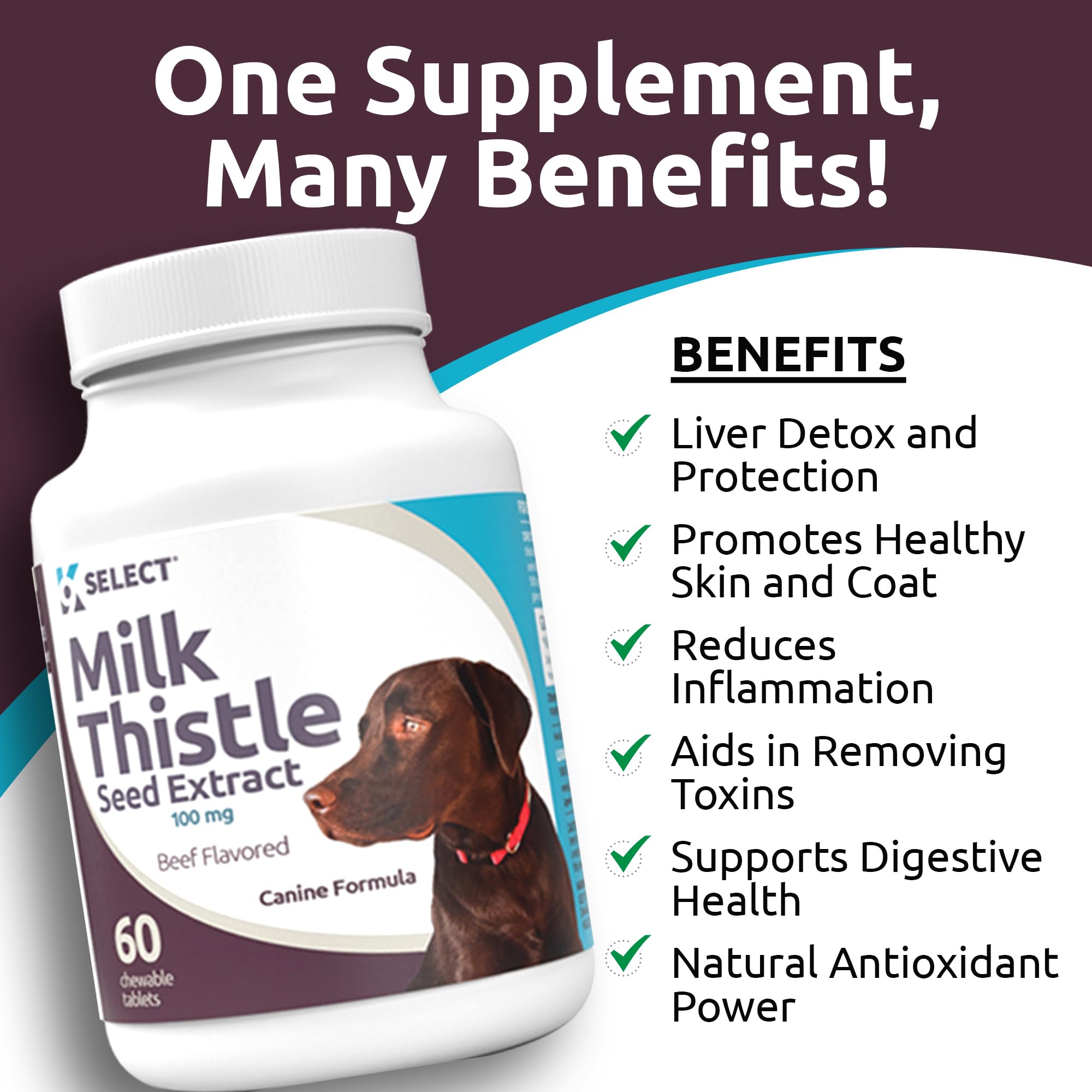 K9 Select Milk Thistle for Dogs - Liver Health Supplement, 100mg, 60 Beef Flavored Tablets