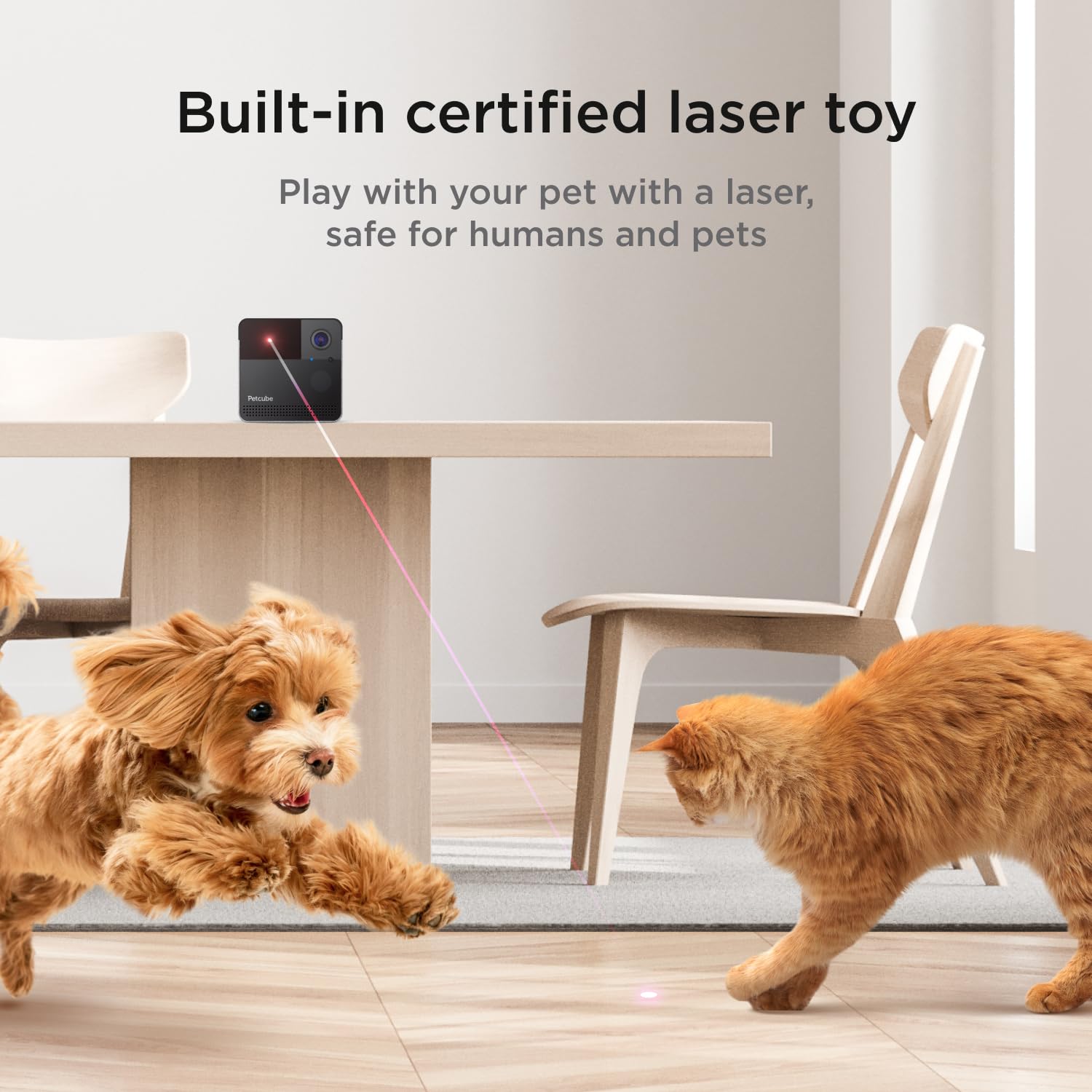 Petcube Play 2 Wi-Fi Pet Camera, 1080P HD, 160° View, 2-Way Audio, Matte Silver, Model PP20USMS, for Cats & Dogs