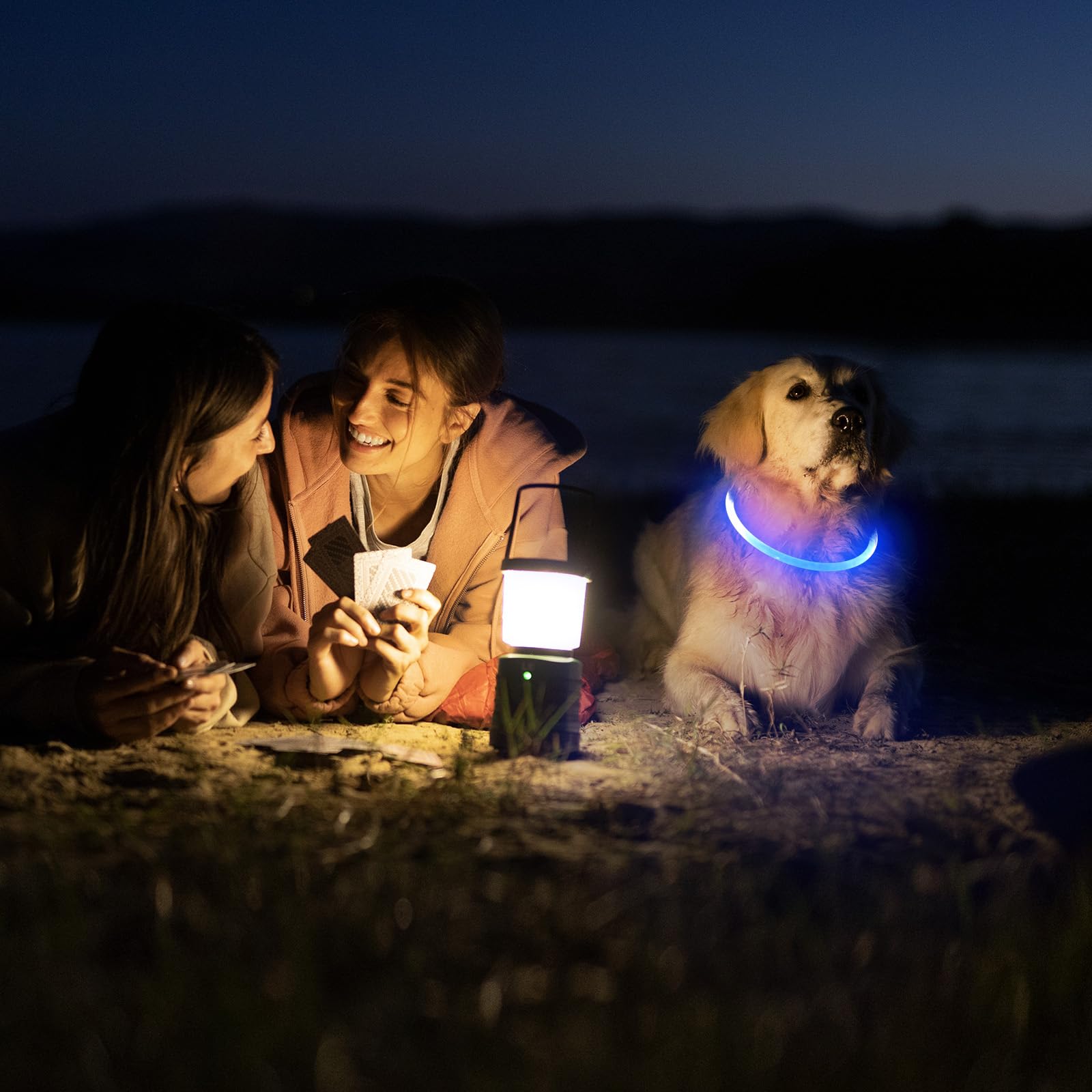 Higo Led Dog Collar, Usb Rechargeable Light Up Dog Collars Glow In The Dark, Tpu Cuttable Pet Safety Dog Necklace For Nighttime