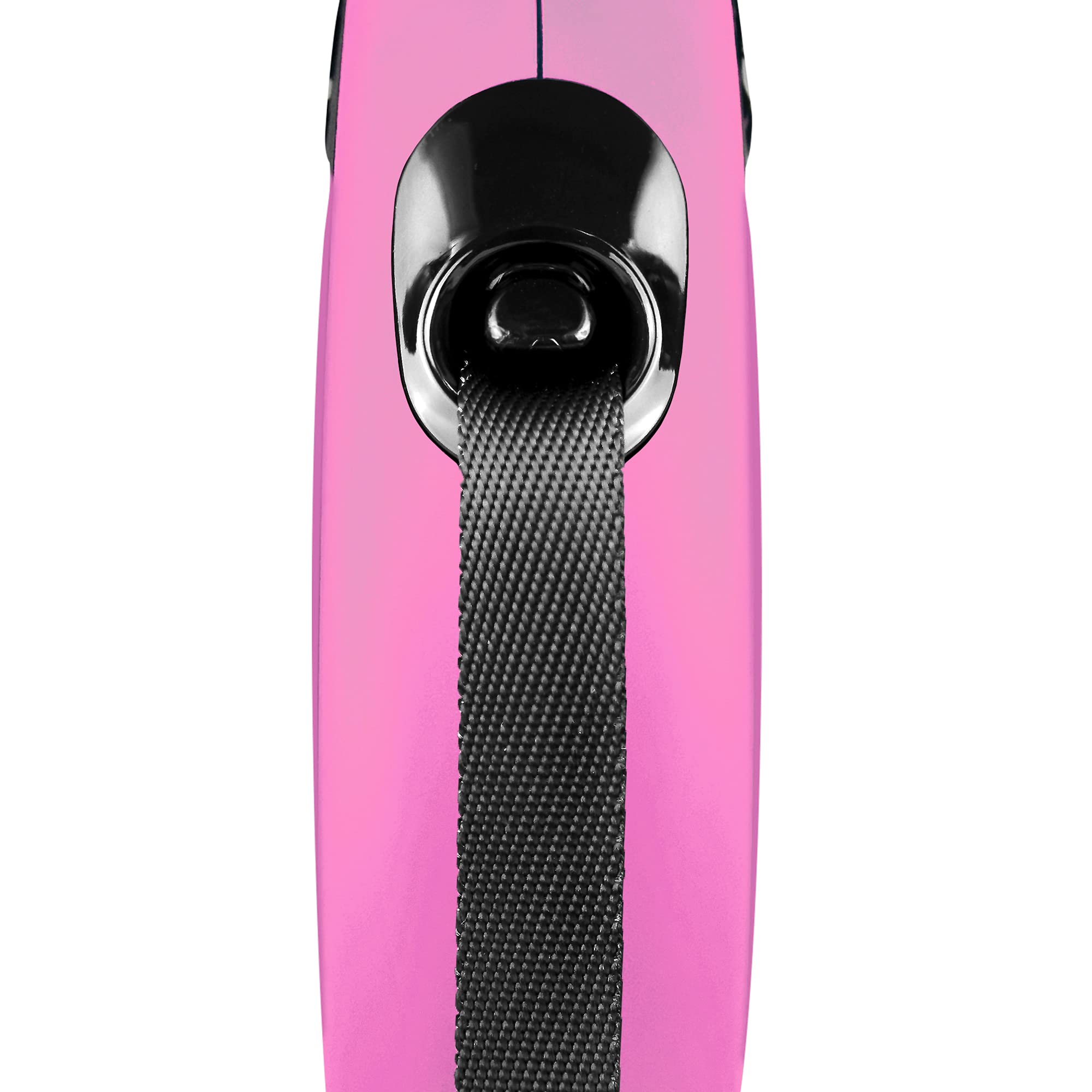 Flexi Roll-Leine New Classic XS Gurt 3 M Blau Fr Hunde, Katzen Und Kleintiere Bis Max. 12 kg, Multicolor, Youth X-Small/16