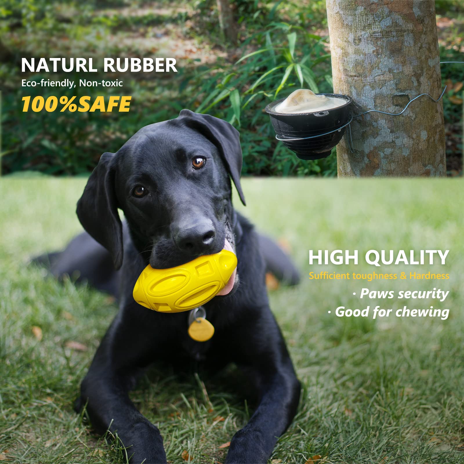 Eastblue Squeaky Dog Toys For