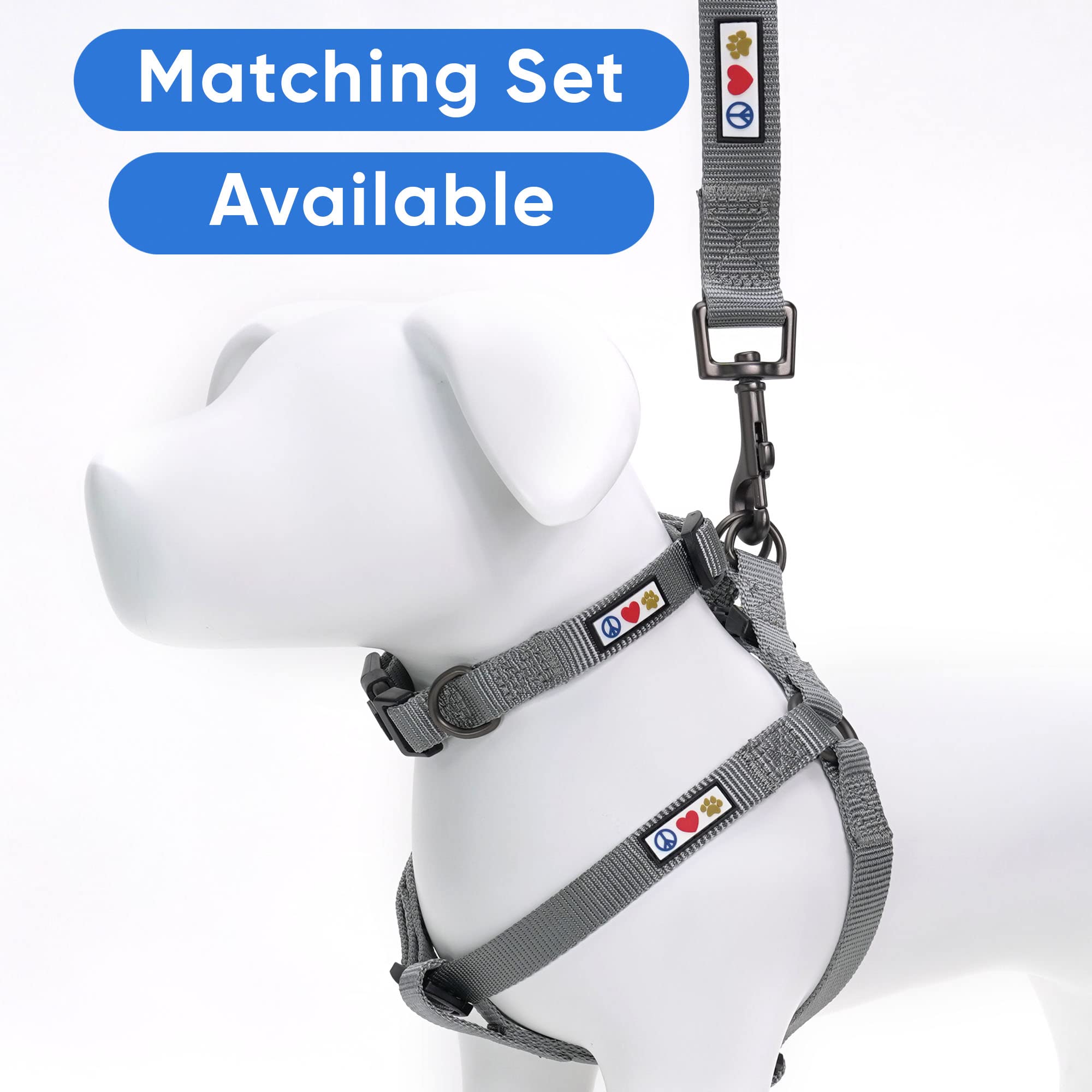Pawtitas 6 Ft Comfortable Leash For Puppy Training - Extra Small To Small Sizes, Grey