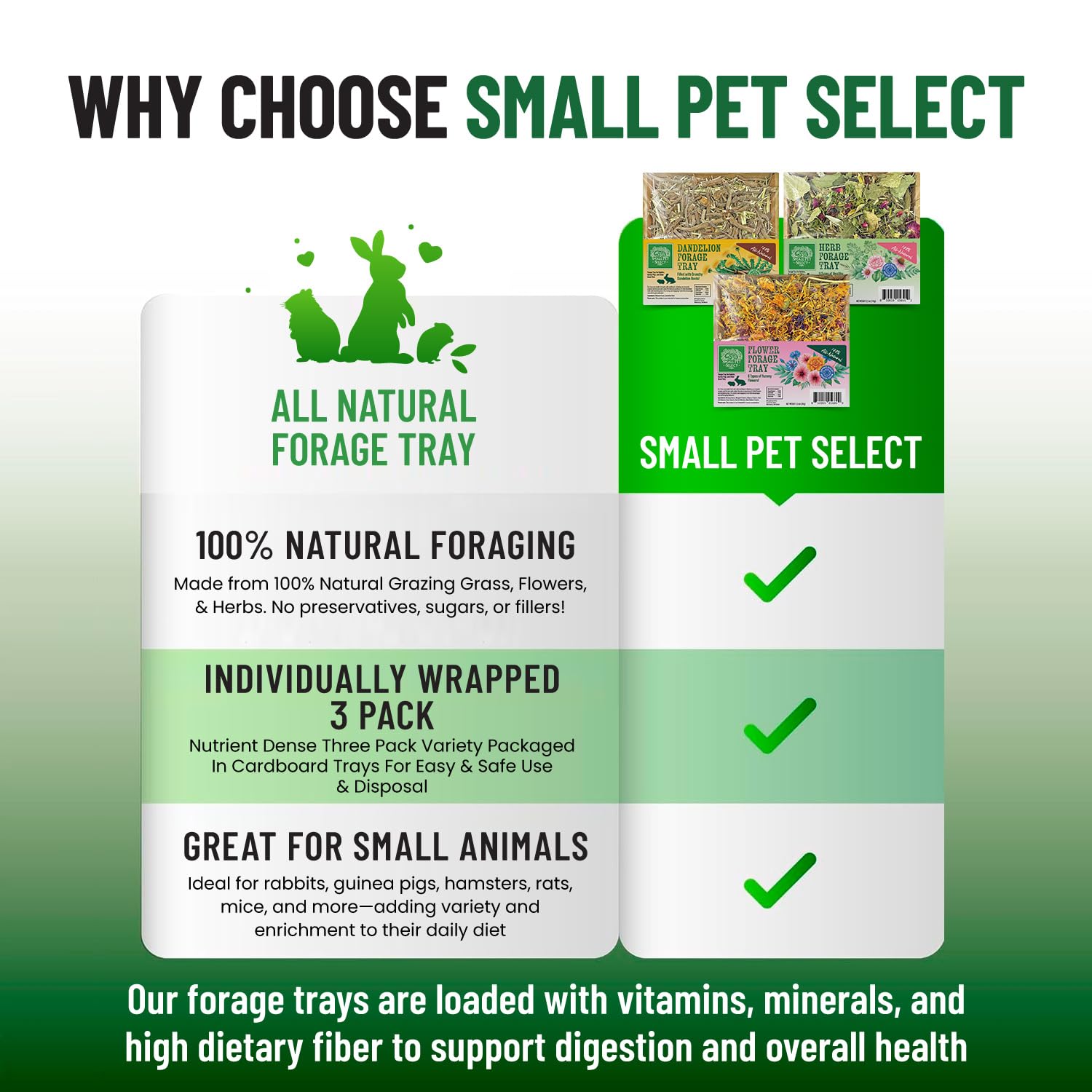 Small Pet Select Forage Tray Bundle, 3 Pack of Foraging Trays for Rabbit, Guinea Pig, Hamster or Bunny - Natural Treats, Dandeli
