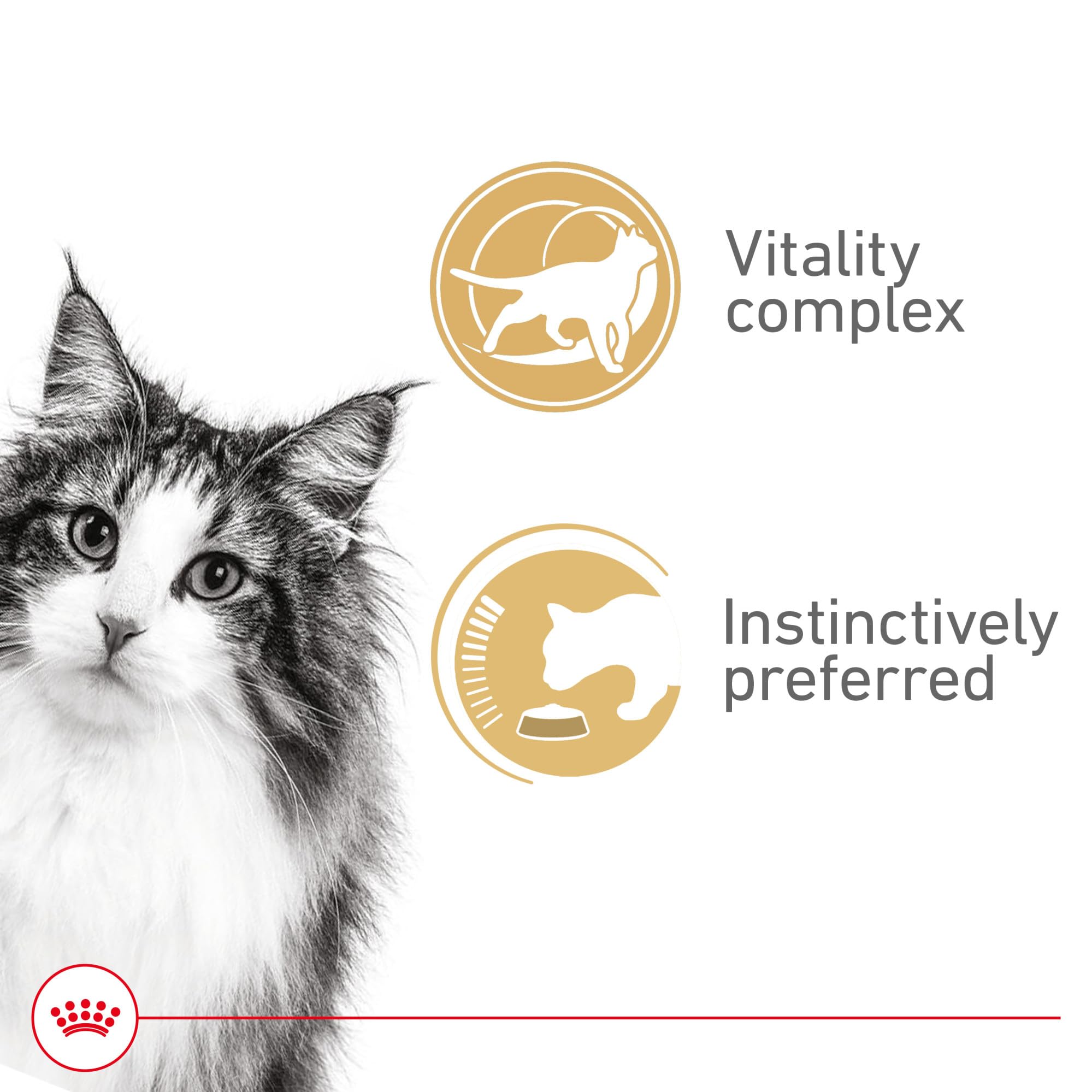 Royal Canin Feline Health Nutrition Instinctive 7+ Mature Thin Slices in Gravy Cat Food, 3 oz (Pack of 24)