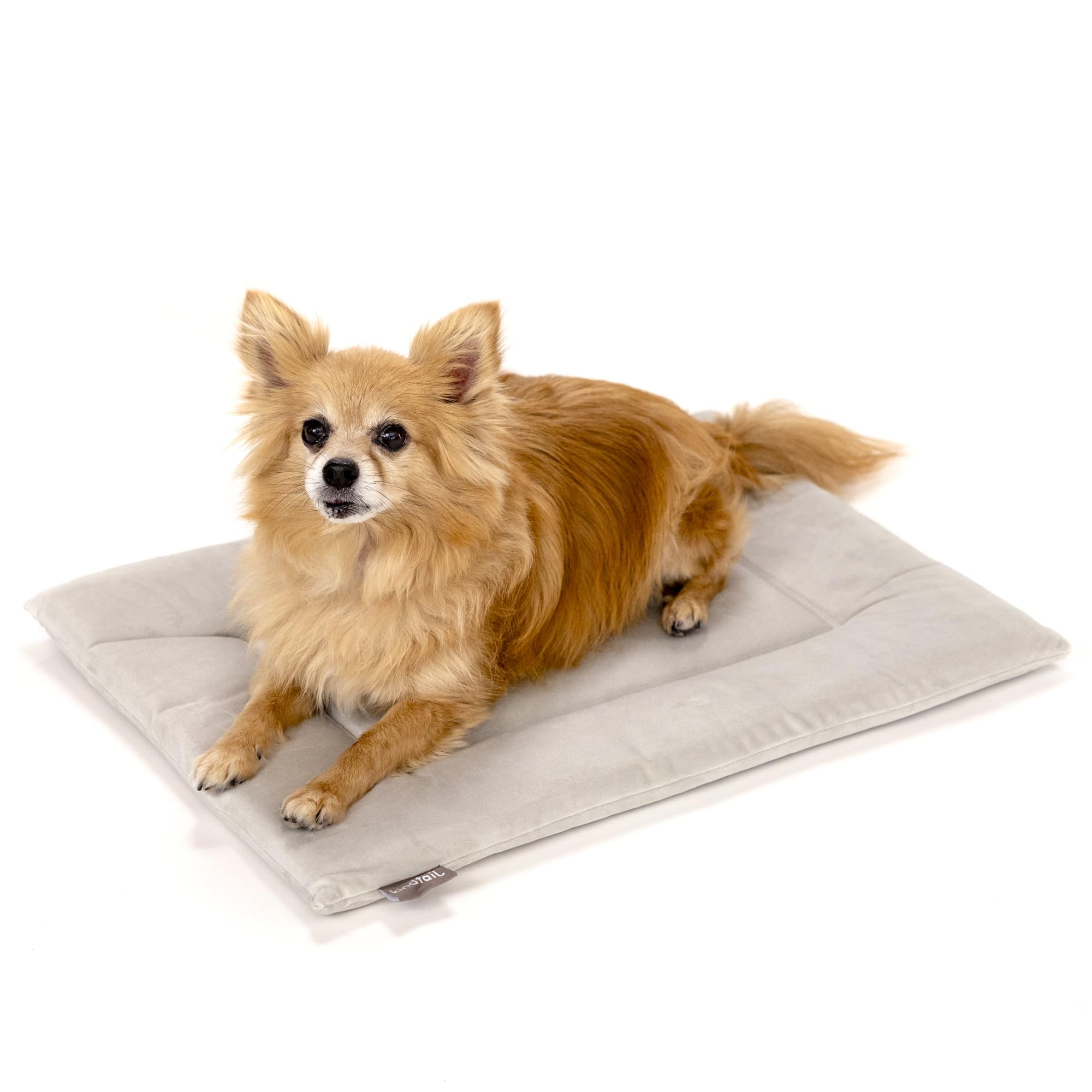 Kindtail Dog Crate Pad - Soft Velvet, Reversible Bed - Machine Washable Kennel Mat For Pets Up To 15 Lbs, Mattress For Cozy Slee