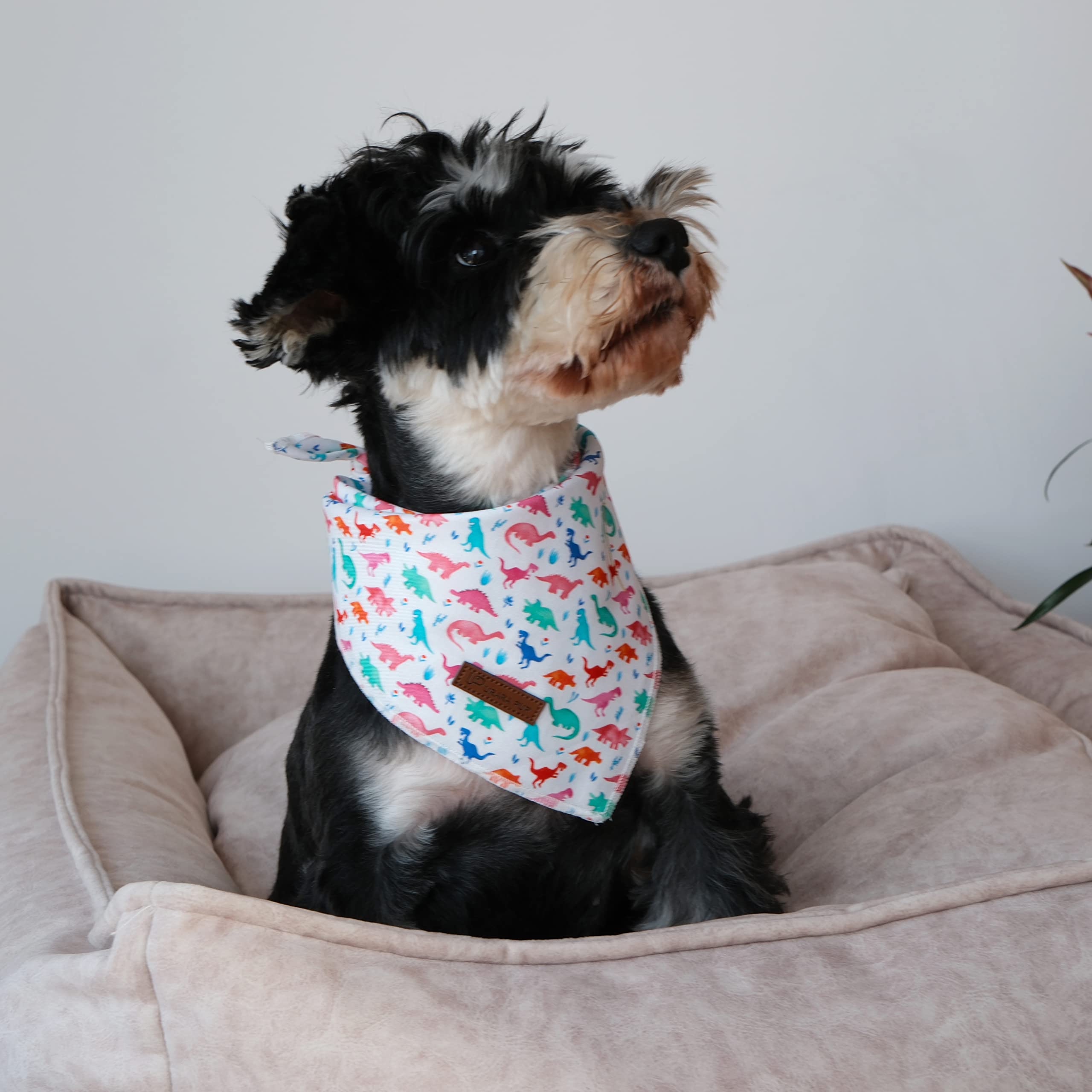 Up Urara Pup Dinosaur Dog Bandana - Comfortable Cotton Triangle Bid Scarf For Medium Large Dogs - Washable Pet Kerchief For Boys