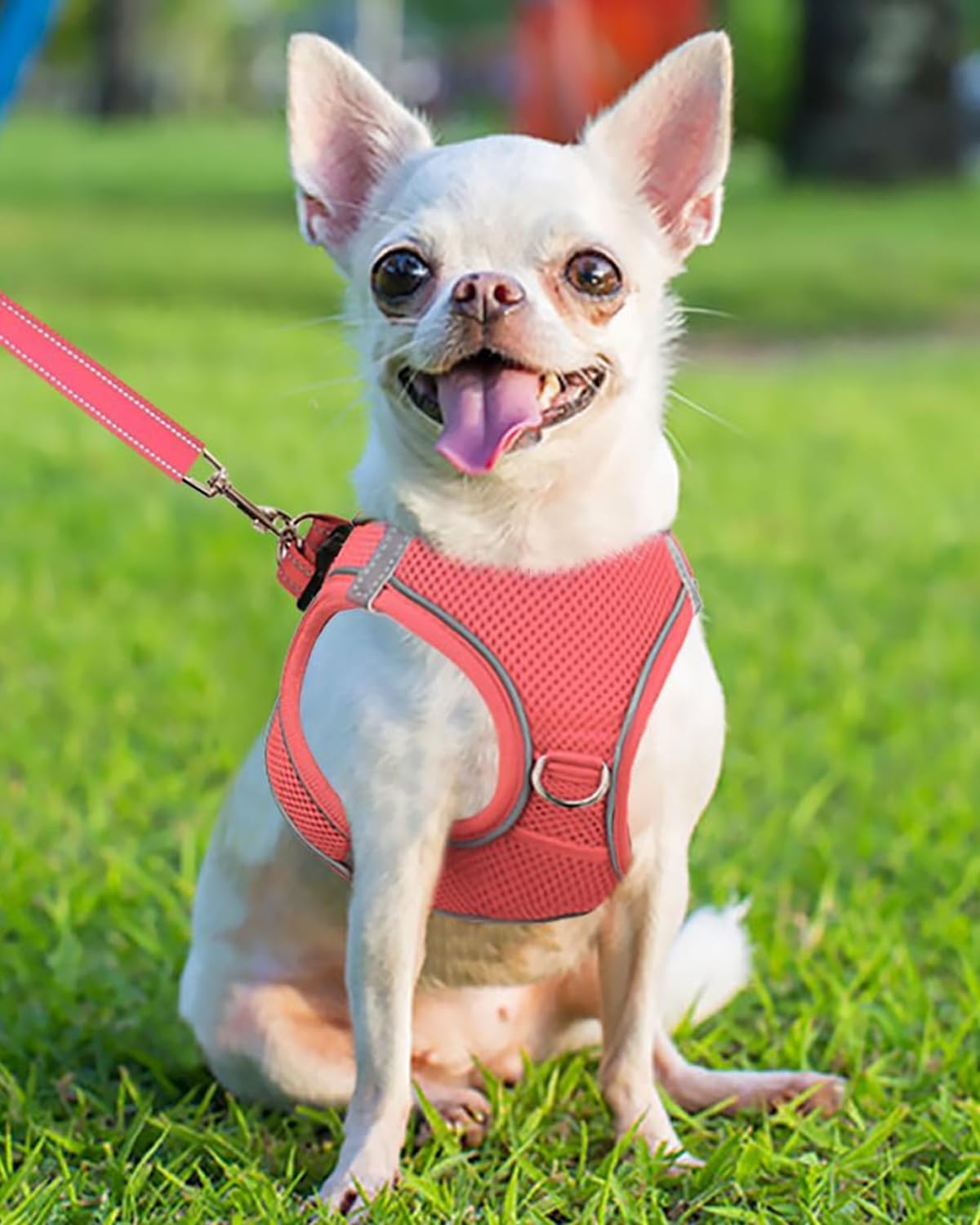 Joytale Small Dog Harness, Breathable Mesh Step-in Vest, Reflective Soft Padded Harnesses for Puppies and Extra Small Dogs, Pink