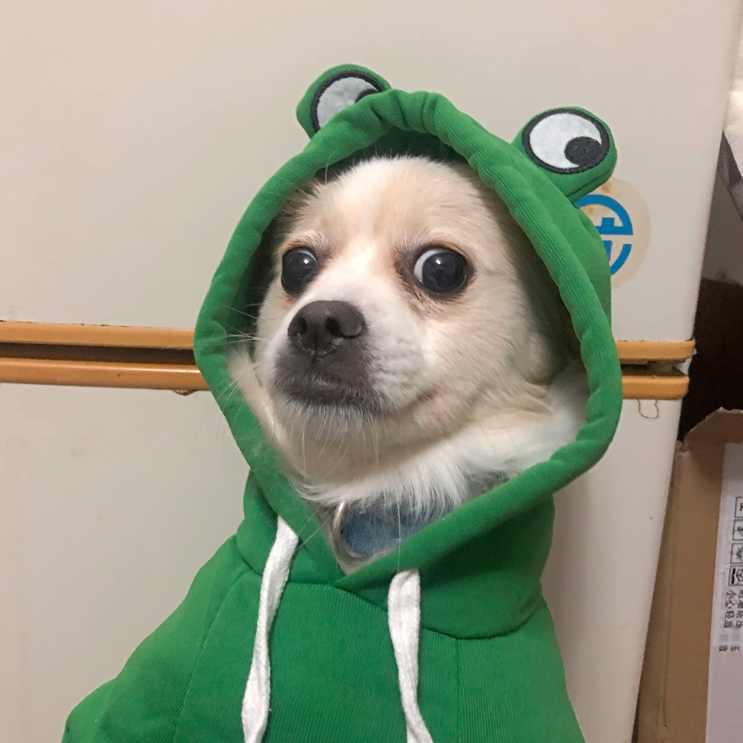 Dog Hoodie Basic Sweater Coat Cute - Frog Shape Warm Jacket Pet Cold Weather Clothes Outfit Outerwear For Cats Puppy Small Mediu