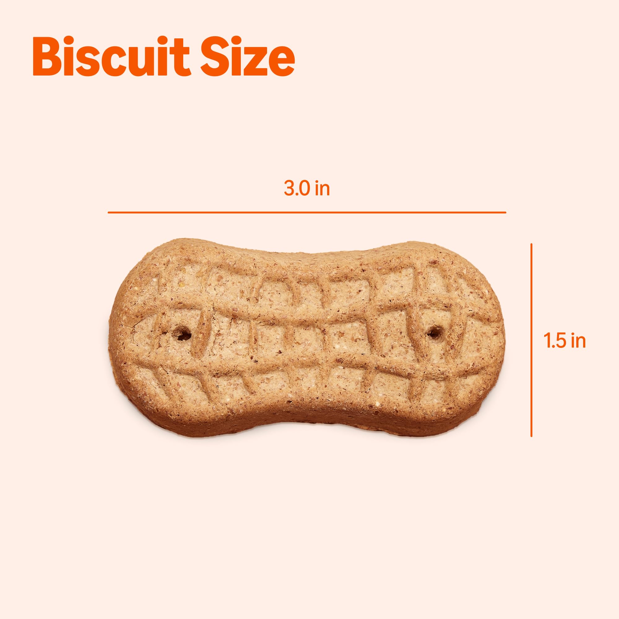Amazon Basics Peanut Butter Flavor Biscuits Dog Treats 5 lb. Box