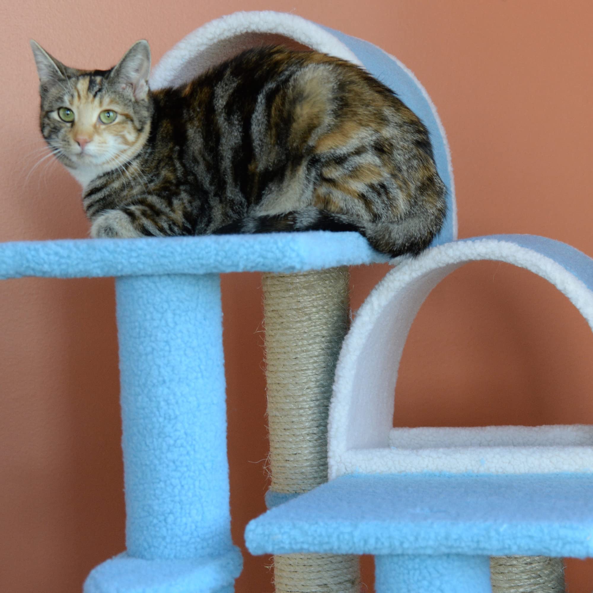 Armarkat Classic Cat Tree B3803 - Sky Blue, Engineered Wood, 31"x20"x38"