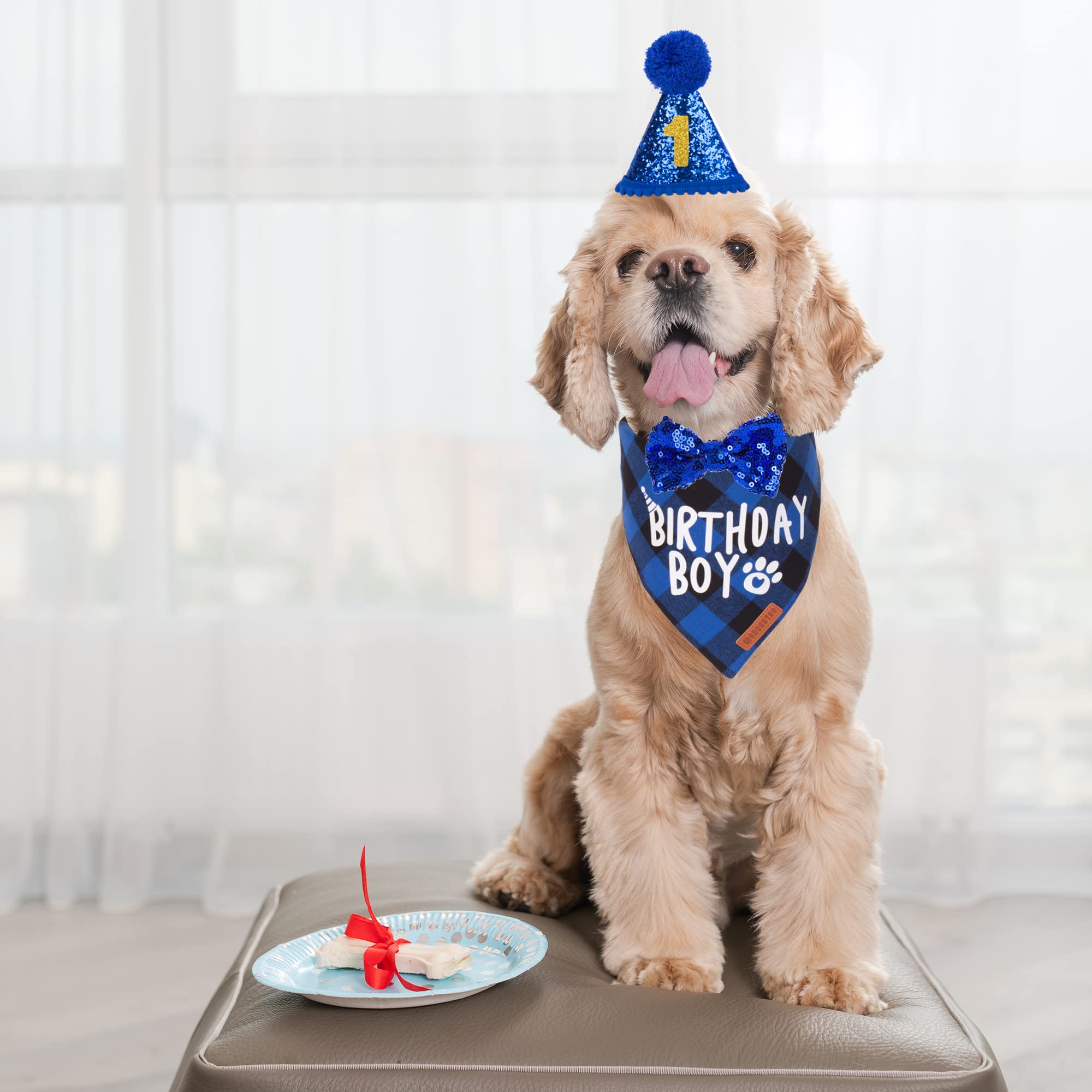 Adoggygo Dog Birthday Party Supplies, Multi Size Offered, Birthday Boy Dog Bandana, Dog Birthday Hat With Numbers For Small Dogs Pets (Small, Blue)