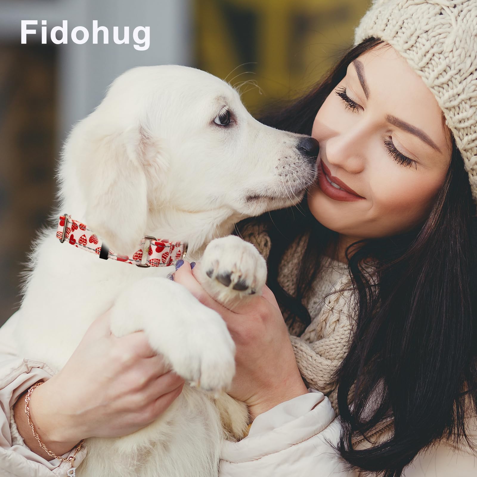 Fidohug Valentines Reflective Martingale Collar For Dogs With Quick Release Buckle Cute Girl No Pull Dog Collars (Red Heart, Sma
