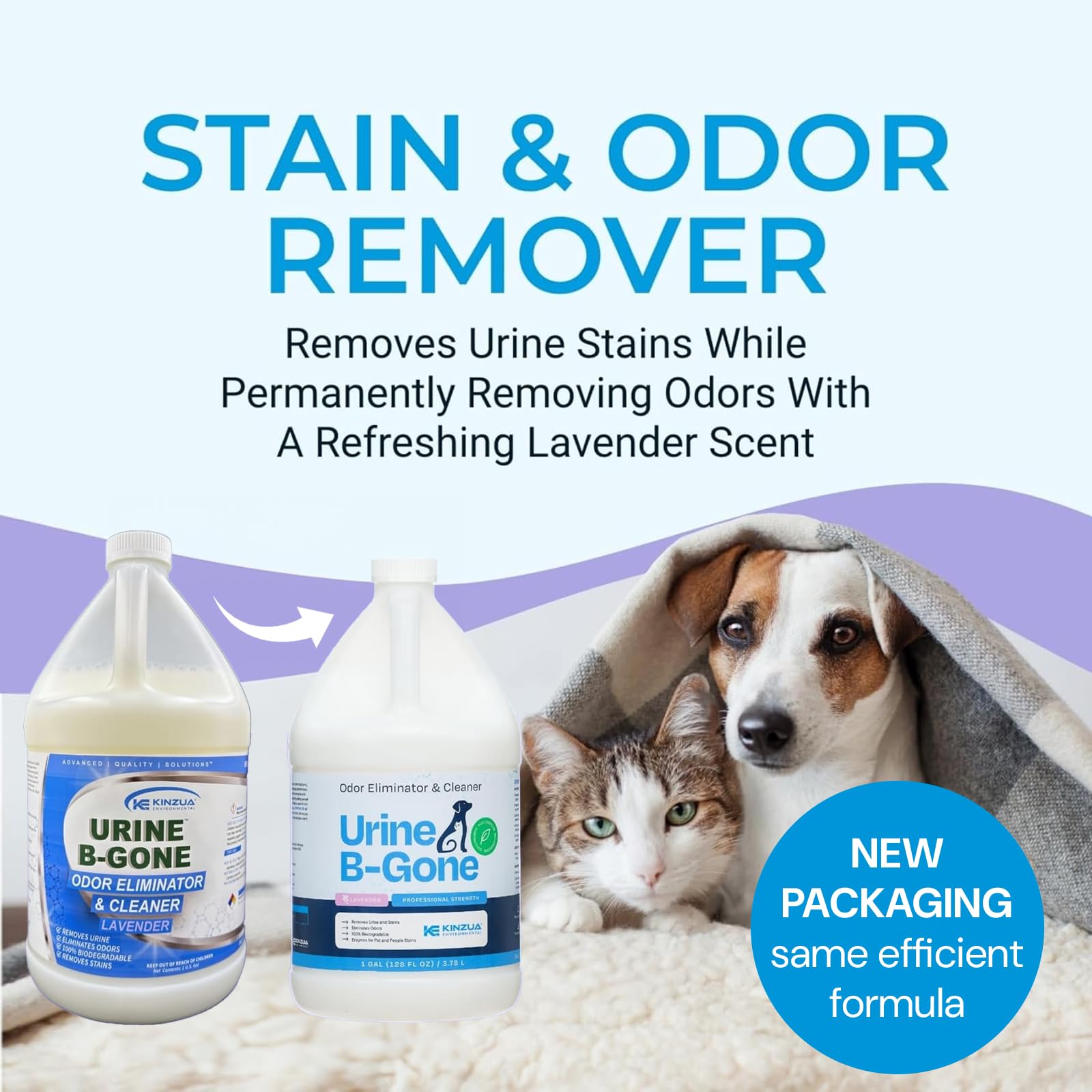 Kinzua Environmental Urine B-Gone, Professional Enzyme Odor Eliminator & Pet Stain Remover, Human, Cat & Dog Urine Cleaner, Effective On Laundry, Carpets & More, Lavender Scent, 1 Gallon