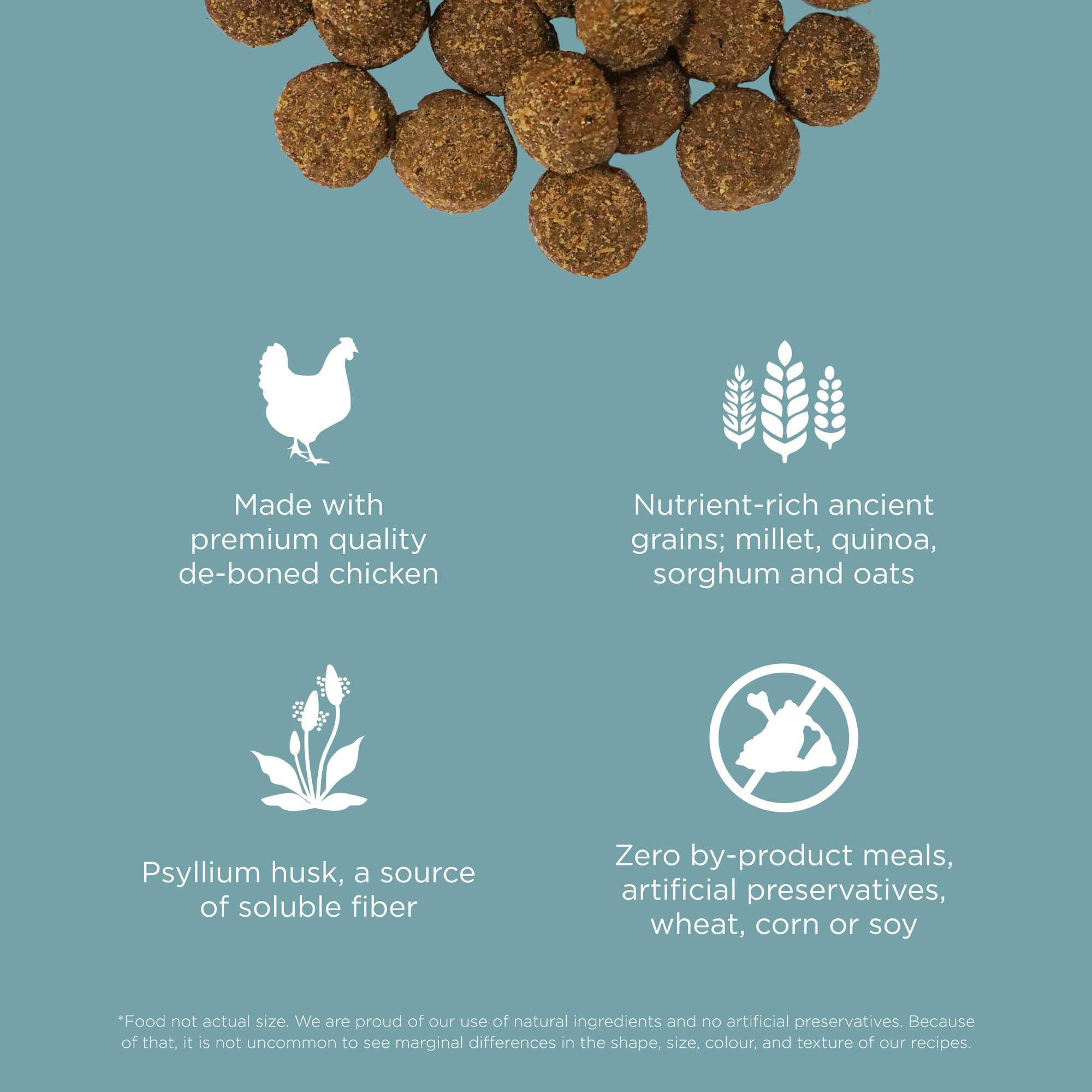 Go! Solutions Digestion + Gut Health Chicken Dry Dog Food, Premium-Quality Kibble for Gastrointestinal & Digestive Wellness, Sup