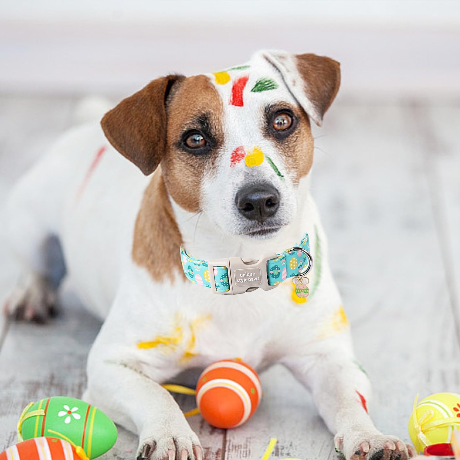 Unique Style Paws Blue Egg Dog Collar, Cotton, Adjustable, Large, Medium, Small, Quick Release Buckle, Easter Pattern
