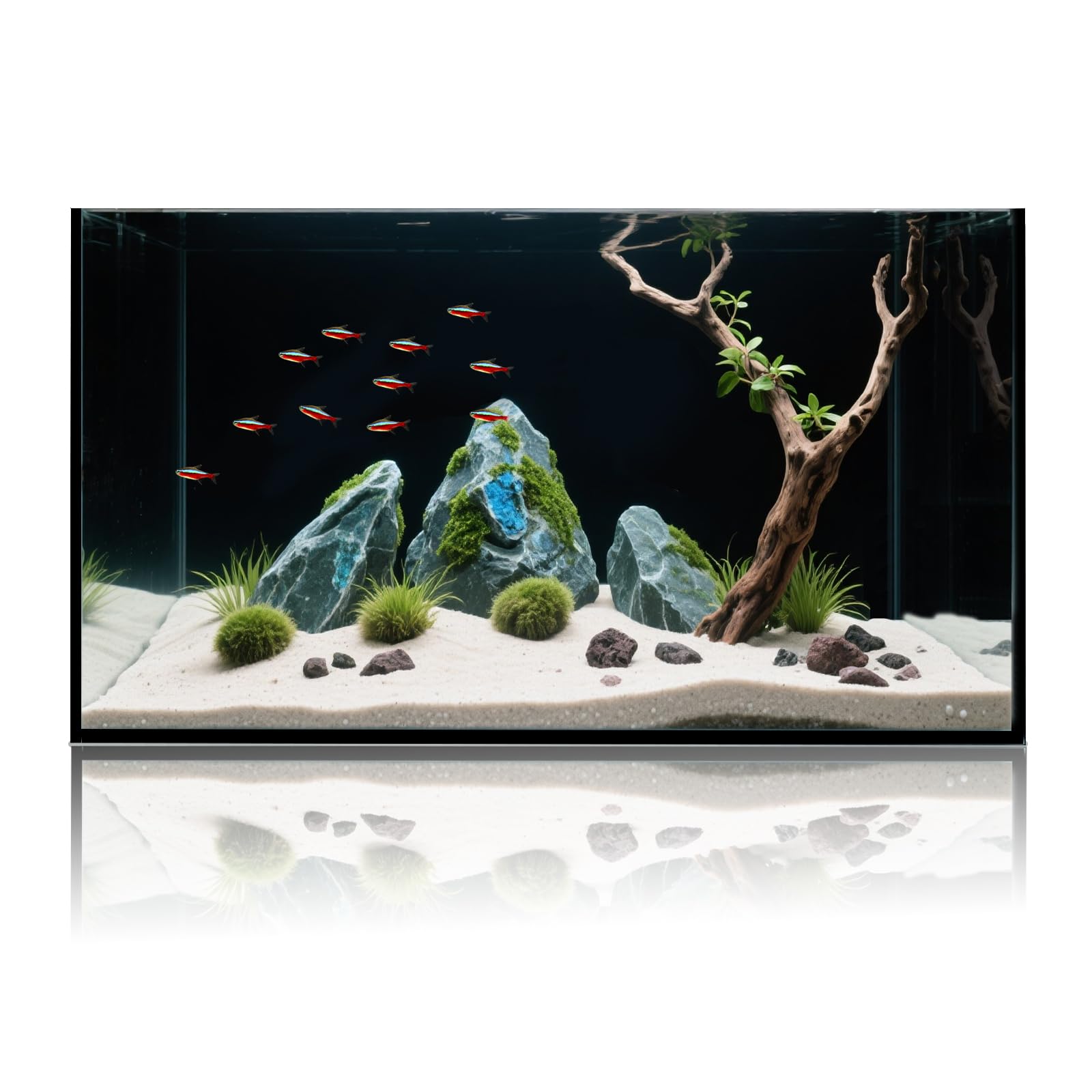10 Gallon Glass Fish Tank, Aquarium Fish Bowl Cube for Betta Goldfish Snails Shrimp Aquatic Planting, Easy to Maintain Ultra Cle