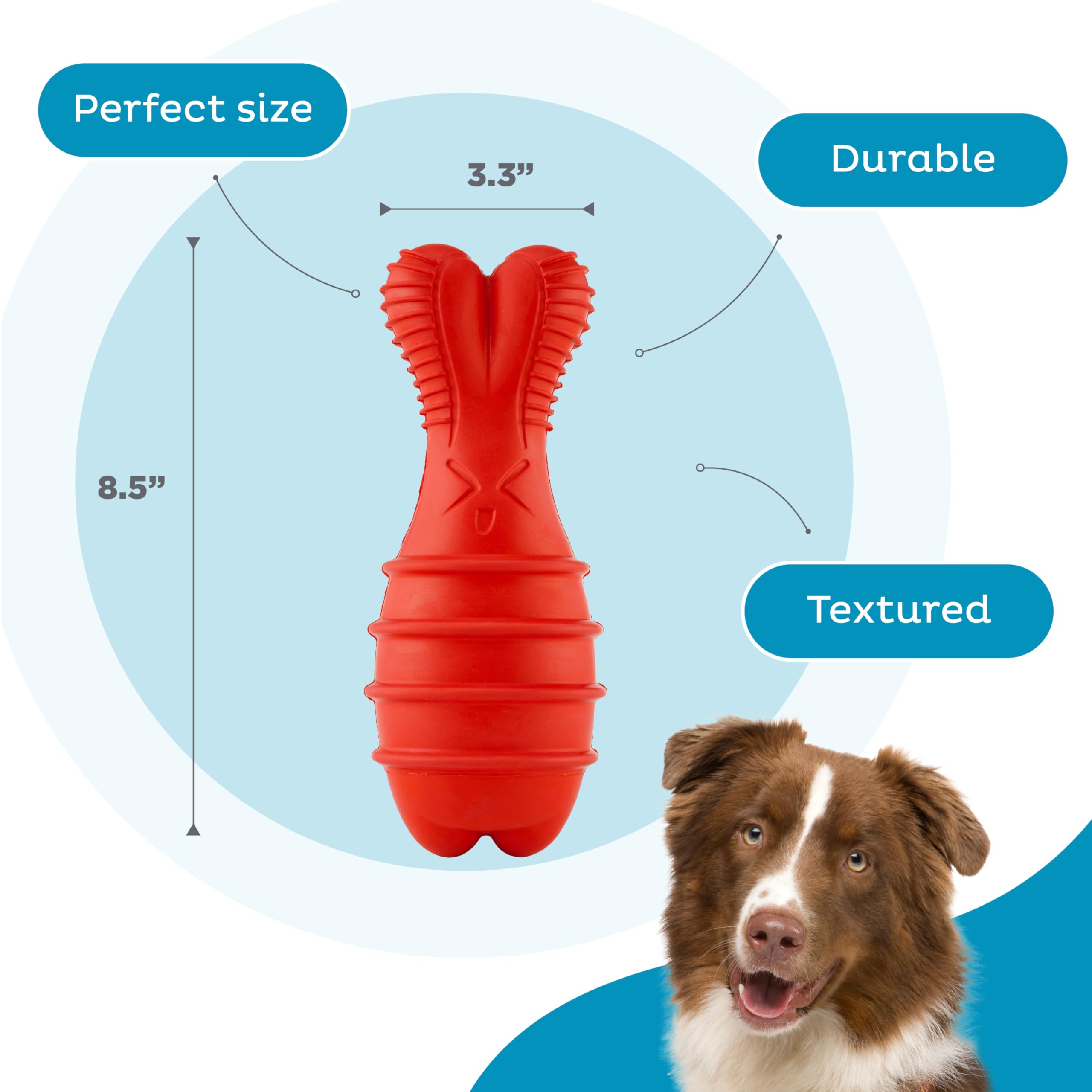 Outward Hound Grunt Fetch Stick Dog Toy, Bunny, Red