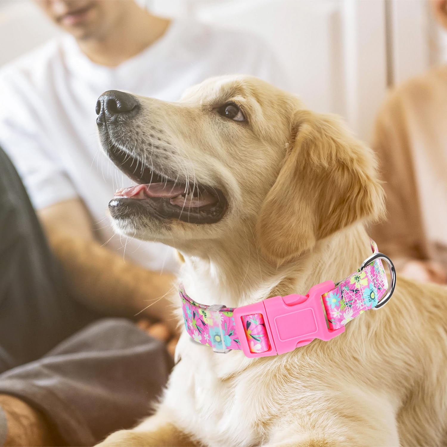 Girl Dog Collars For Large Dogs, Cute Girl Pink Dog Collar With Boho Flowers Patterns, Adjustable Comfy Soft Durable Pet Collar