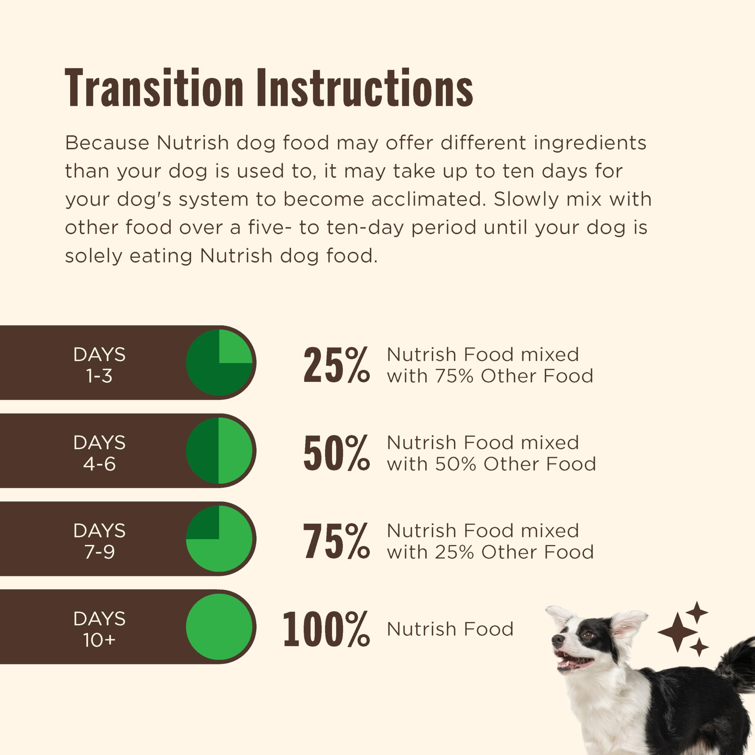 Rachael Ray Nutrish Chunks in Gravy Wet Dog Food Real Chicken & Veggies Recipe, 13 Ounce (Pack of 12)