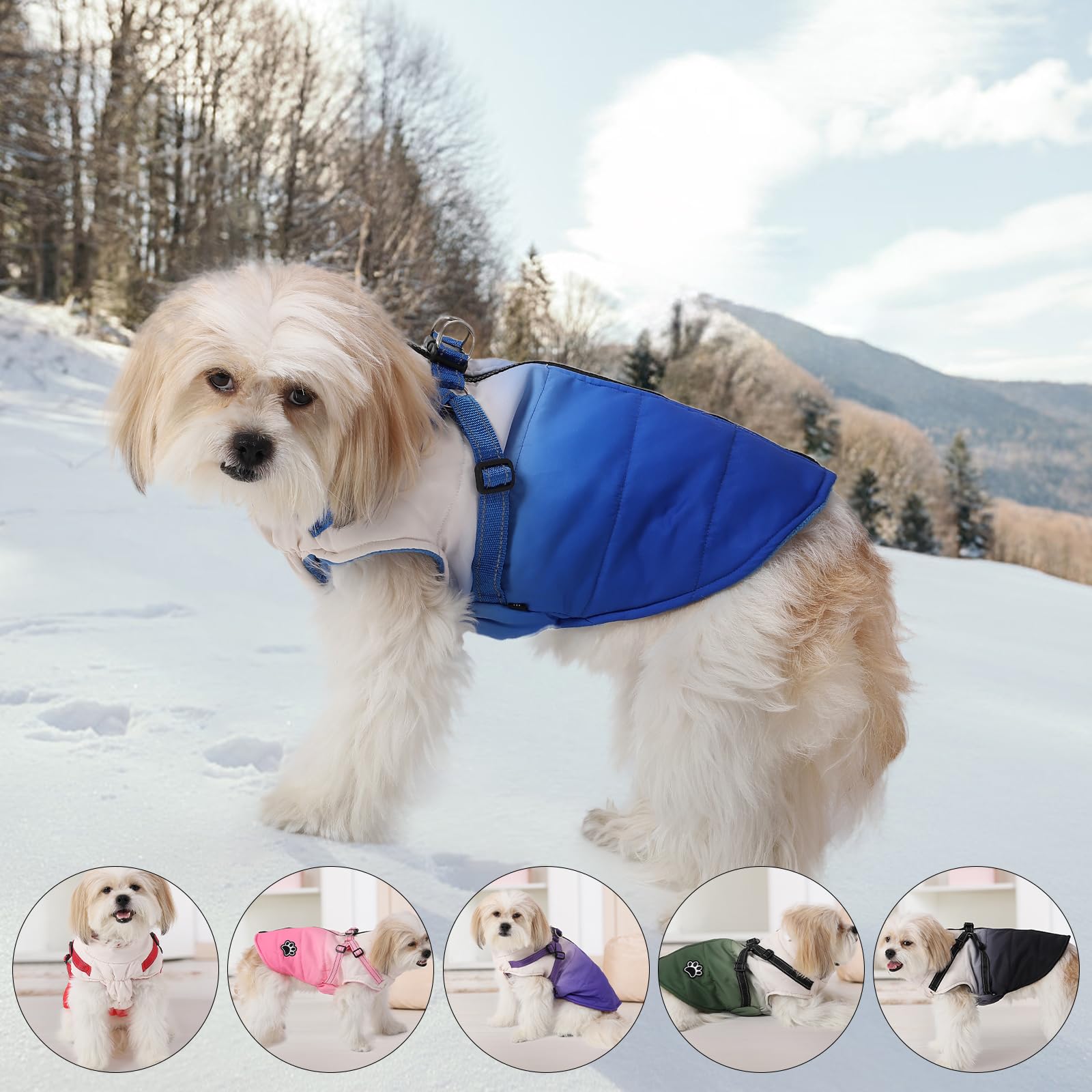 Gyuzh Winter Dog Jacket - Color Changing, Waterproof, Reflective, Fits Small To Large Dogs (Medium, Blue)
