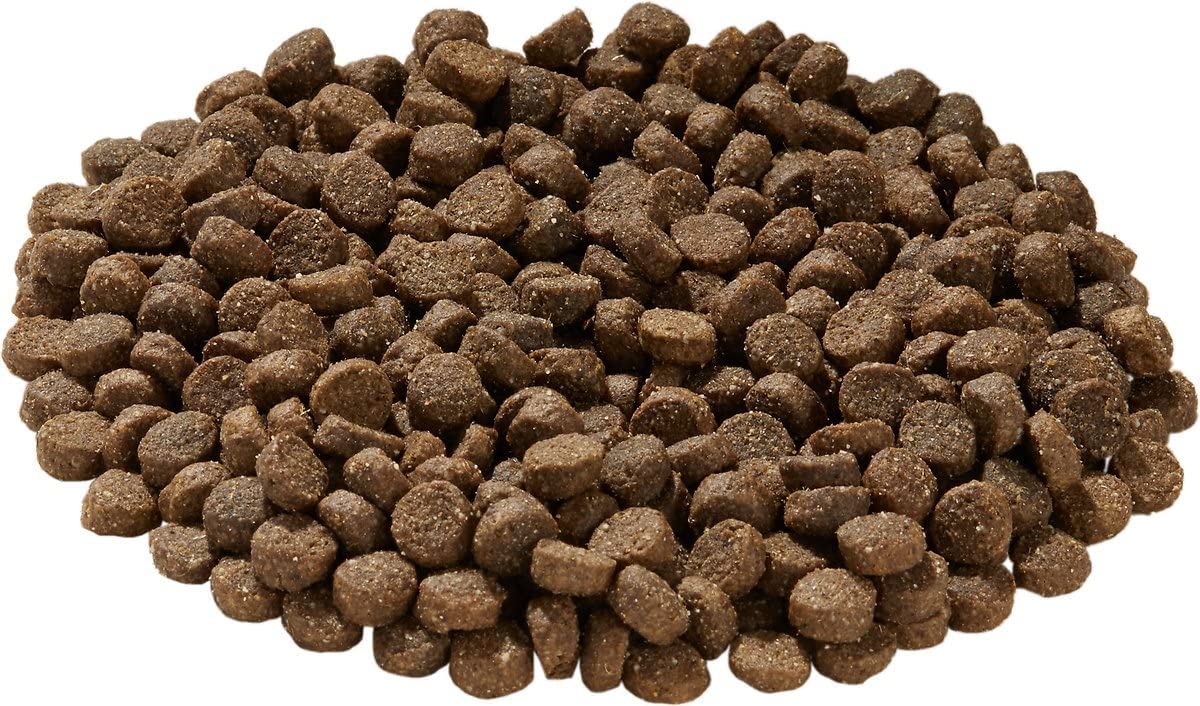 Health Extension Lamb & Brown Rice Dry Dog Food (1 lb / 0.45 kg) - Nutritious Free-Range Lamb Formula with Probiotics, Antioxida