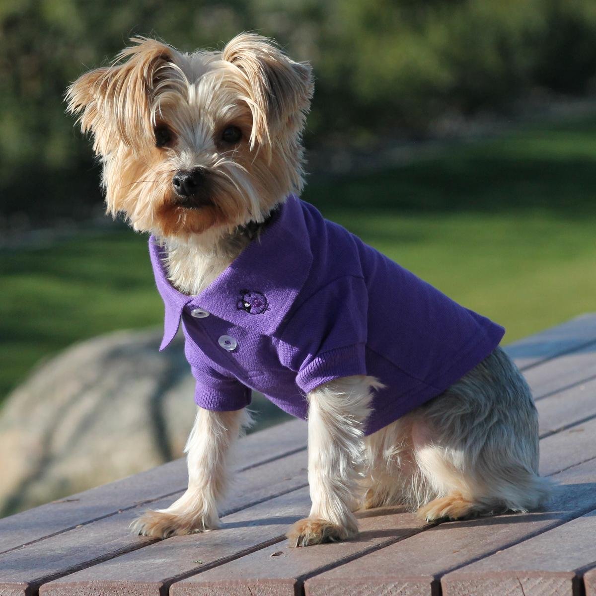 Doggie Design Solid Dog Polo Shirt (Ultra Violet, Xs)