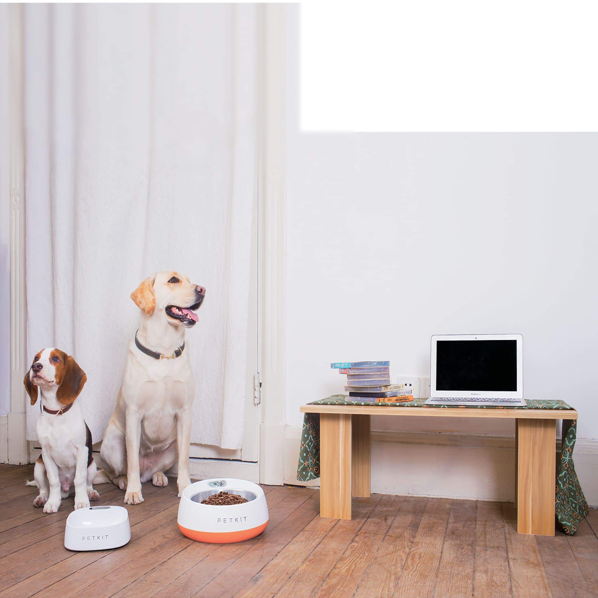 PETKIT Fresh Metal Large Machine Washable Smart Digital Feeding Pet Bowl
