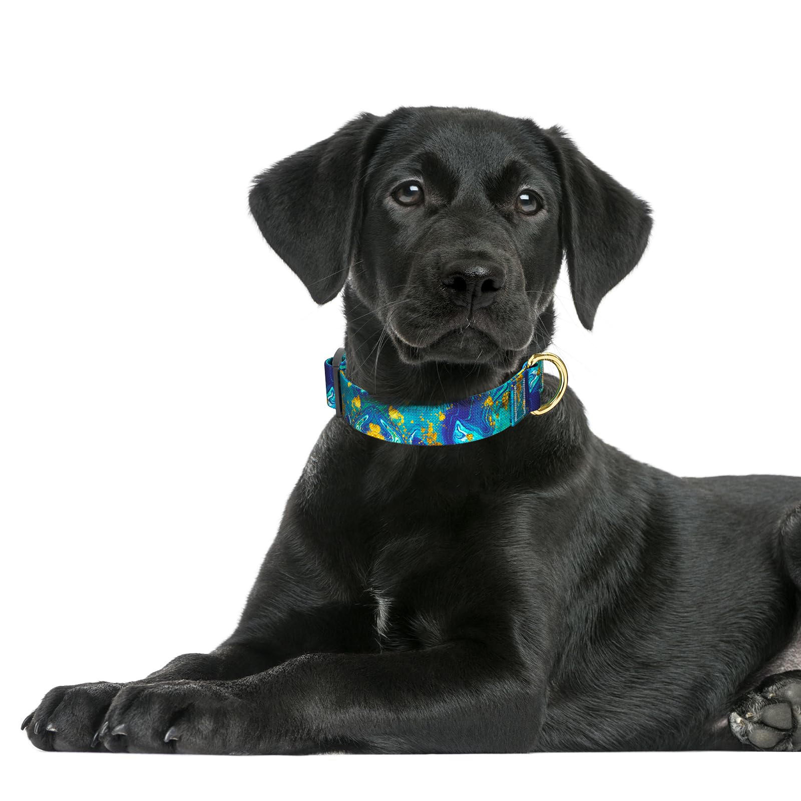 Rnivvi Dog Collar For Large Dogs, Cute Marble Heavy Duty Adjustable Puppy Collar With Quick Release Buckle For Girl & Female, Pe