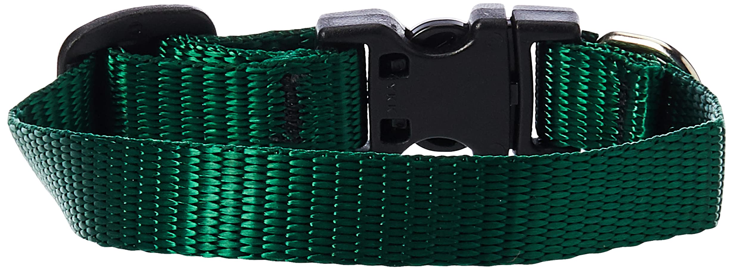 LupinePet Basics 1/2'' Green 6-9'' Adjustable Collar for Extra Small Dogs