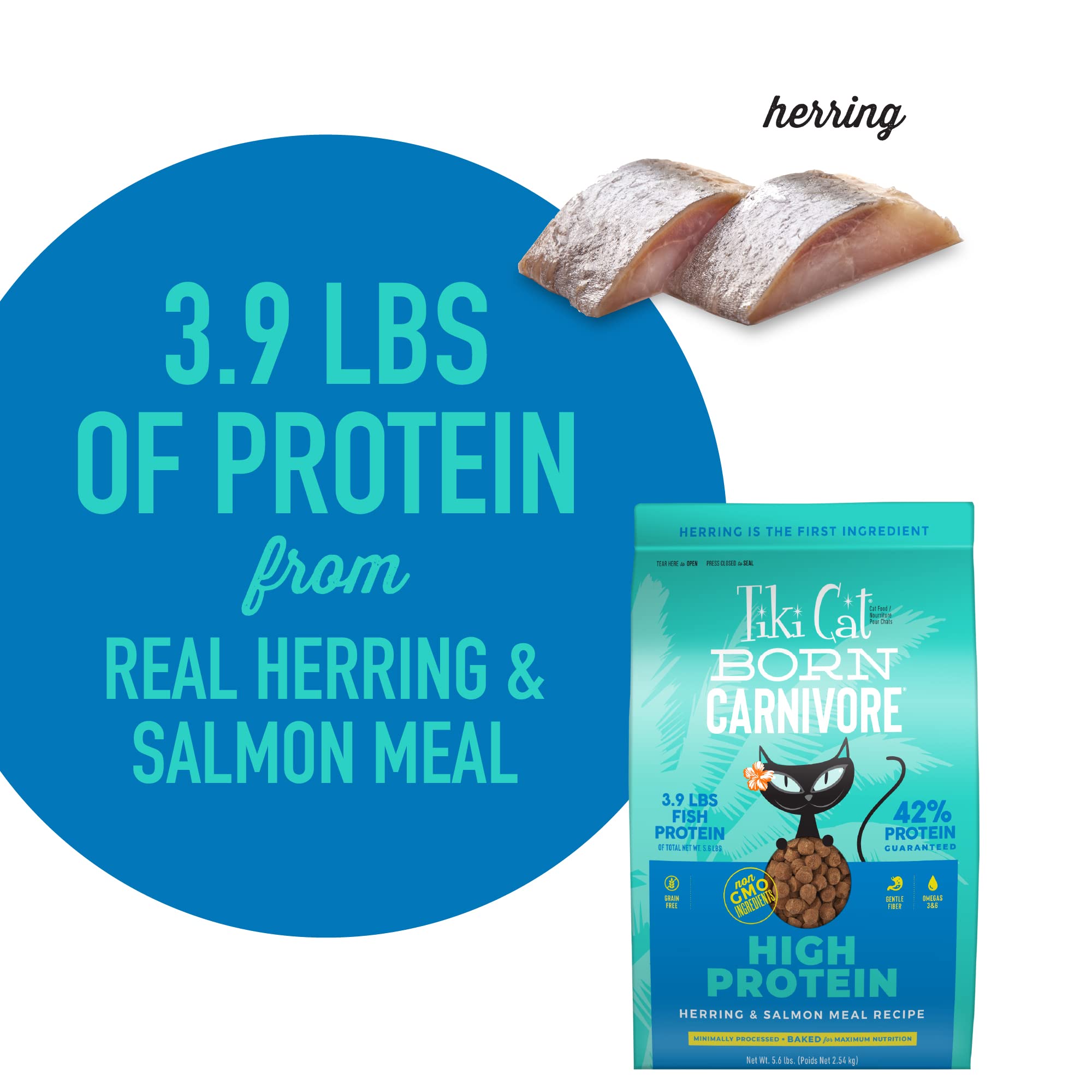 Tiki Cat Born Carnivore High Protein, Herring & Salmon Meal, Grain-Free Baked Kibble to Maximize Nutrients, Dry Cat Food, 5.6 lb