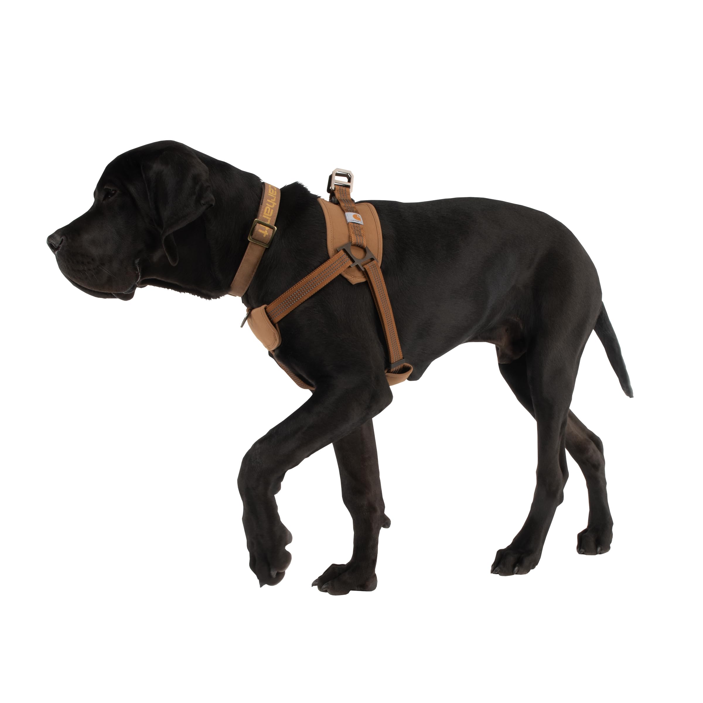 Carhartt Nylon Duck Training Dog Harness, Carhartt Brown, Small