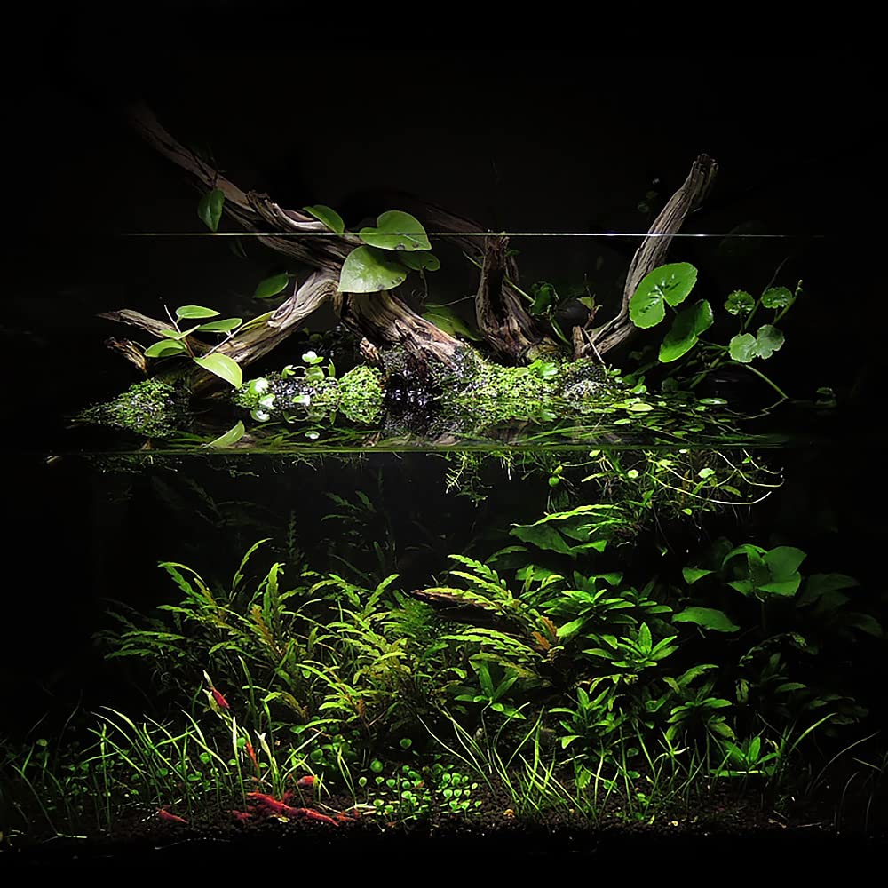Ultum Nature Systems Controsoil - Planted Aquarium Substrate Soil for Fish Tank, Natural Freshwater Aquatic Plants, Shrimp, Aqua