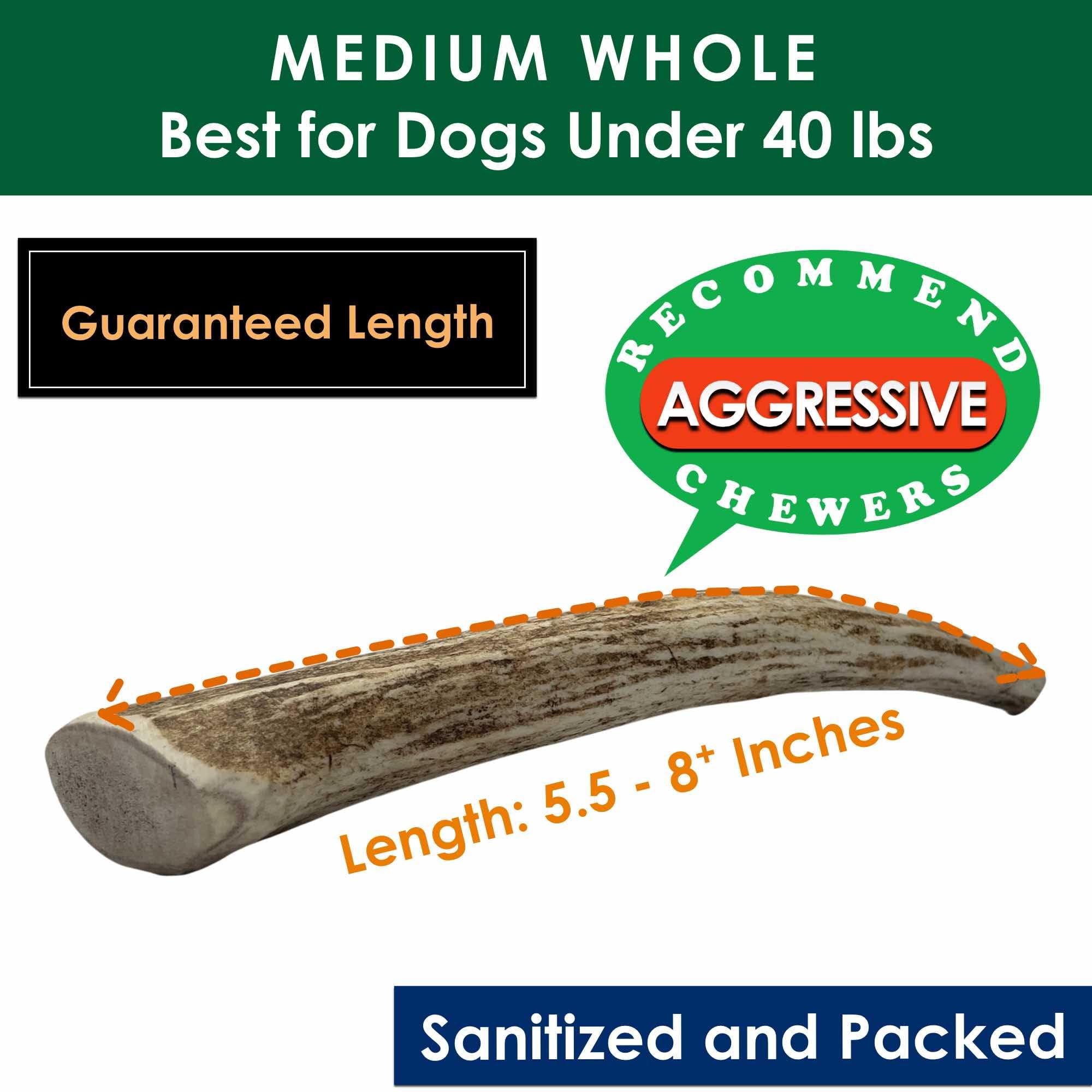 Deluxe Naturals 4-Pack Medium Whole Elk Antler Dog Chews, 5.5 to 8+ Inch Natural Long-Lasting Chew Bones for Small and Medium Do