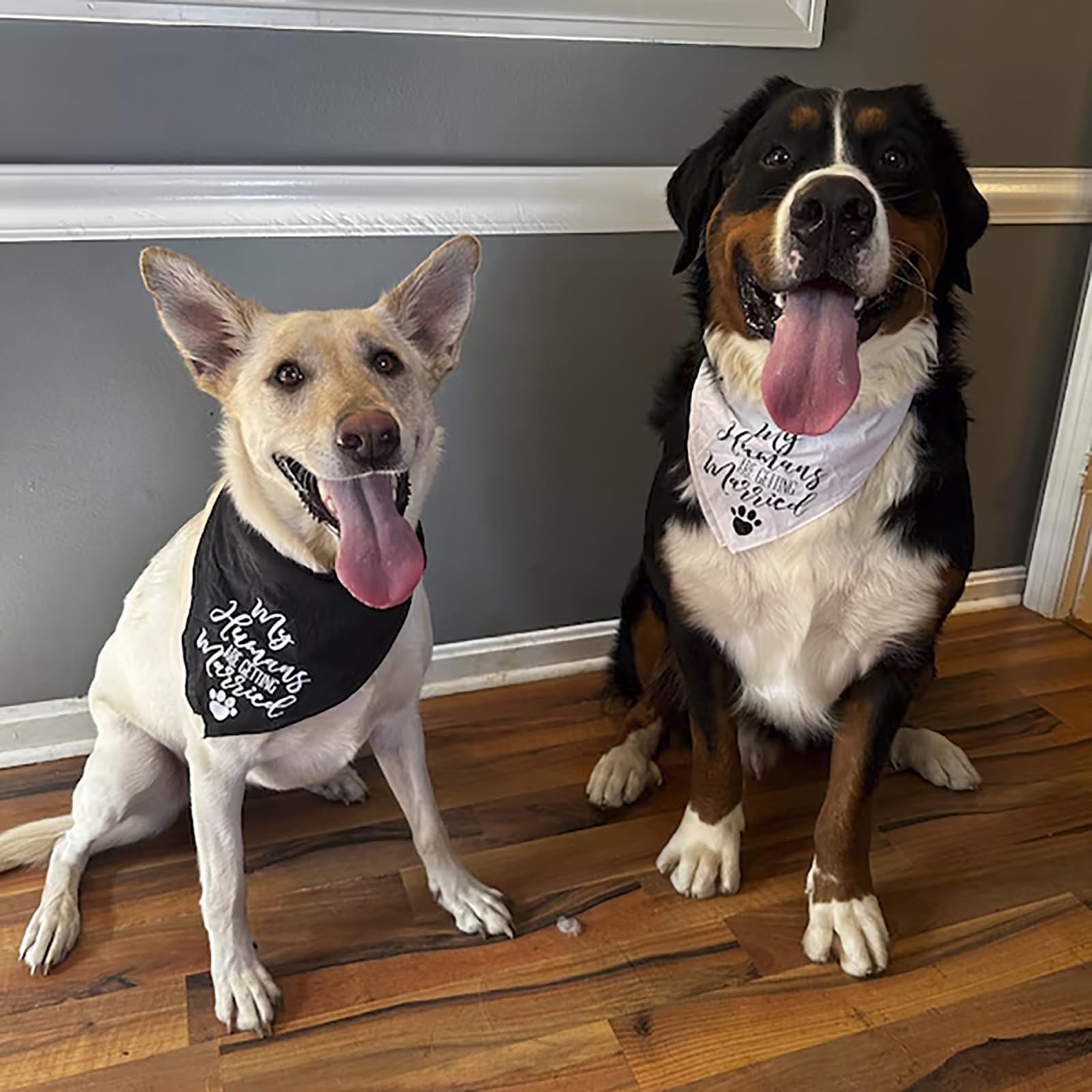 Engagement Announcement Dog Bandana - My Humans Are Getting Married Dog Wedding Outfit Engagement Gifts - 2 Pcs Adjustable Trian