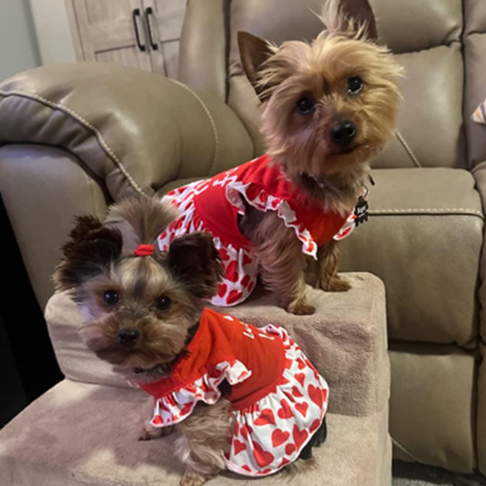 Xpudac 4 Pieces Dog Dress Girl Clothes For Small Dogs Girl Flower Puppy Dresses For Dogs Apparel Colorful Small Dog Clothes Fema