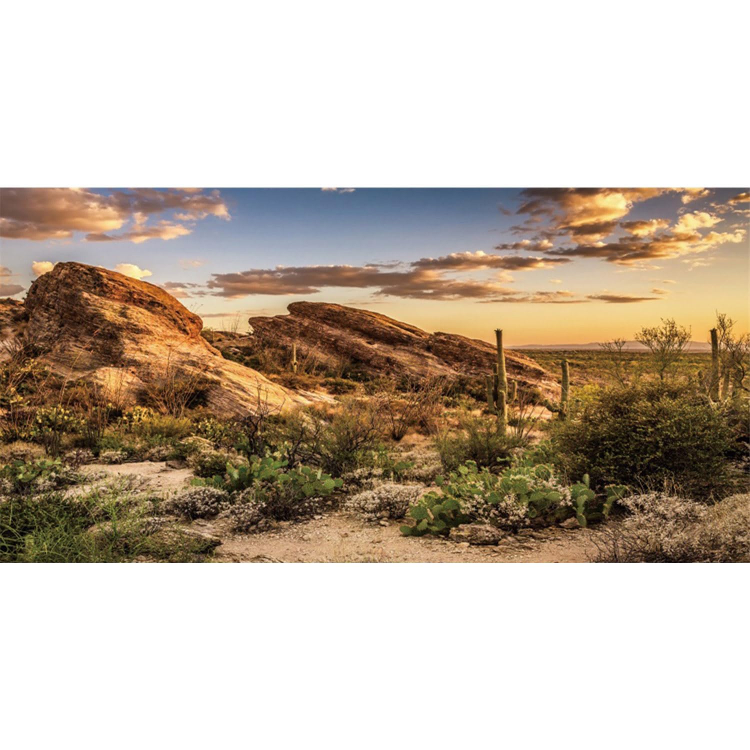 AWERT Reptile Habitat Background Blue Sky Oasis Cactus Sun and Desert Terrarium Background 48x24 inches Durable Polyester Backgr