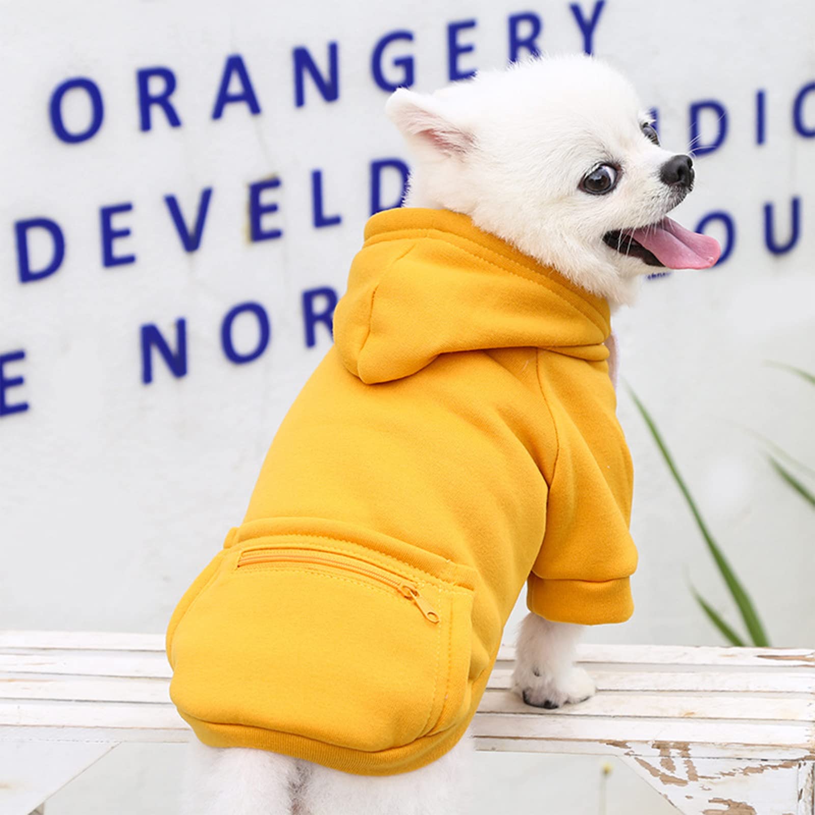 Petcare Dog Hoodie - Yellow Winter Warm Fleece Hooded Sweatshirt With Pocket - Small Dog Clothes - Chihuahua, Yorkies, French Bu