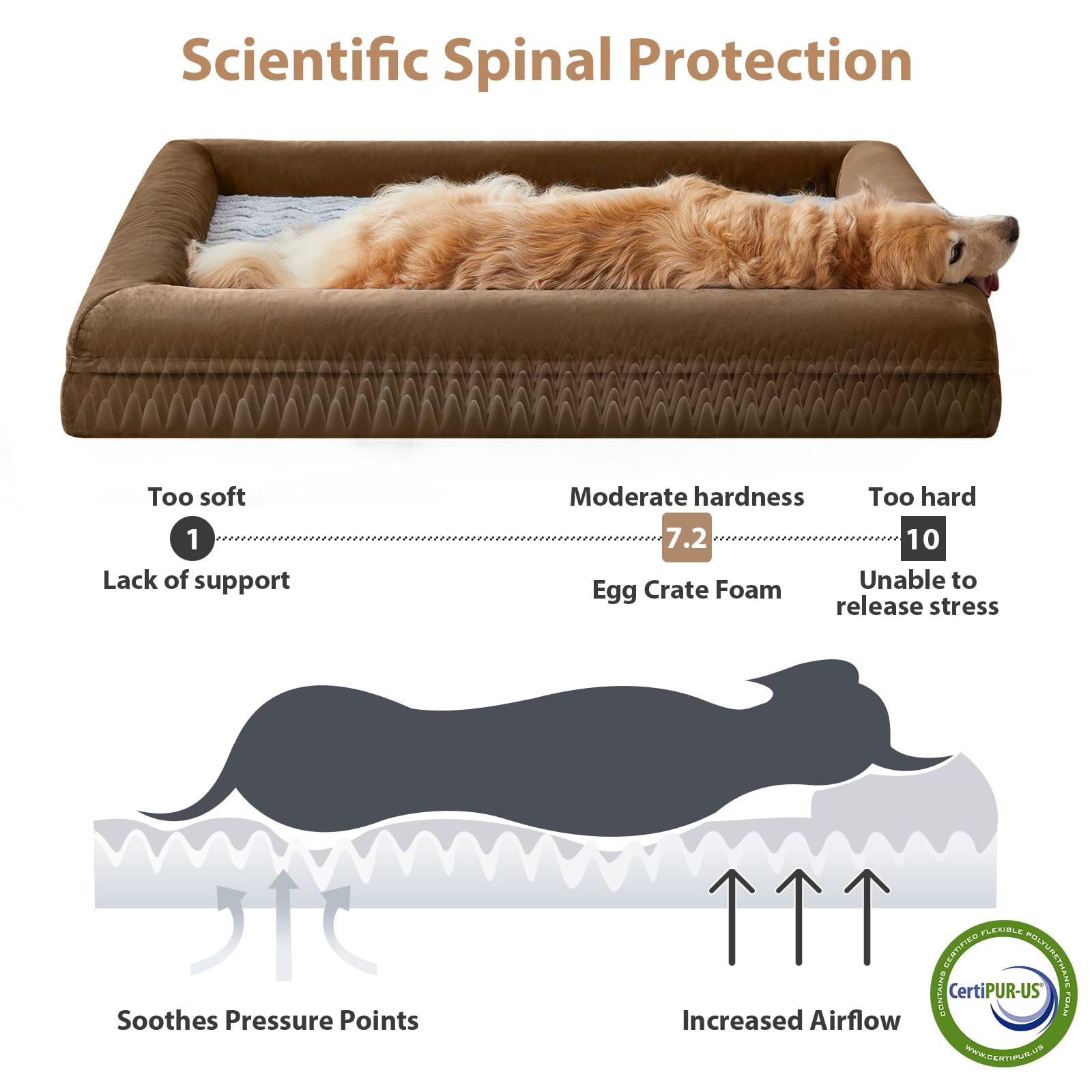 WNPETHOME Giant Dog Bed, Washable Dog Couch with Removable Waterproof Cover, Orthopedic Large Pet Sofa Bed with Bolster Sides fo