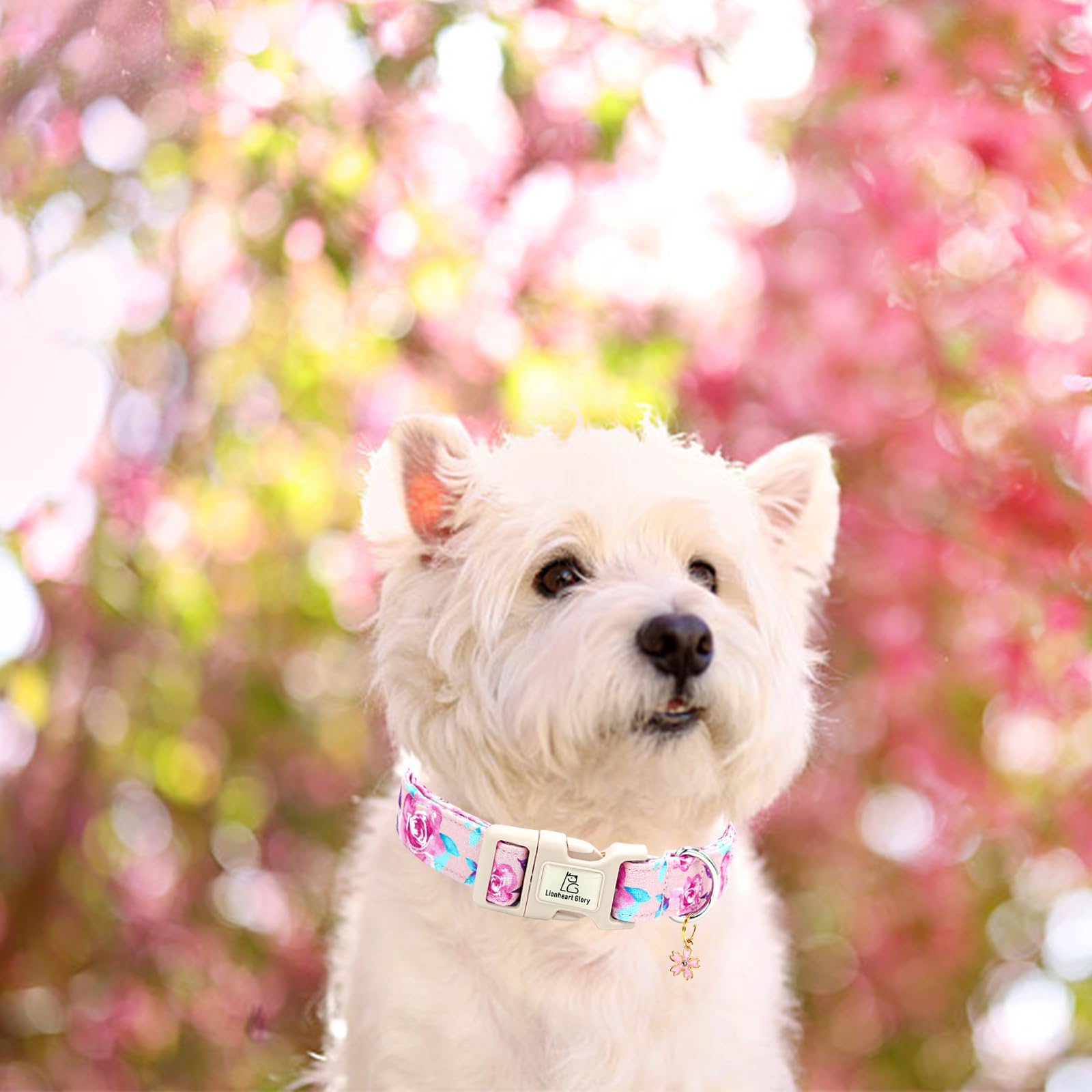 Lionheart Glory Dog Collar Floral Pattern Cute Collar For Small Dogs Spring Summer Female Or Male Collars Pets Gift Adjustable H