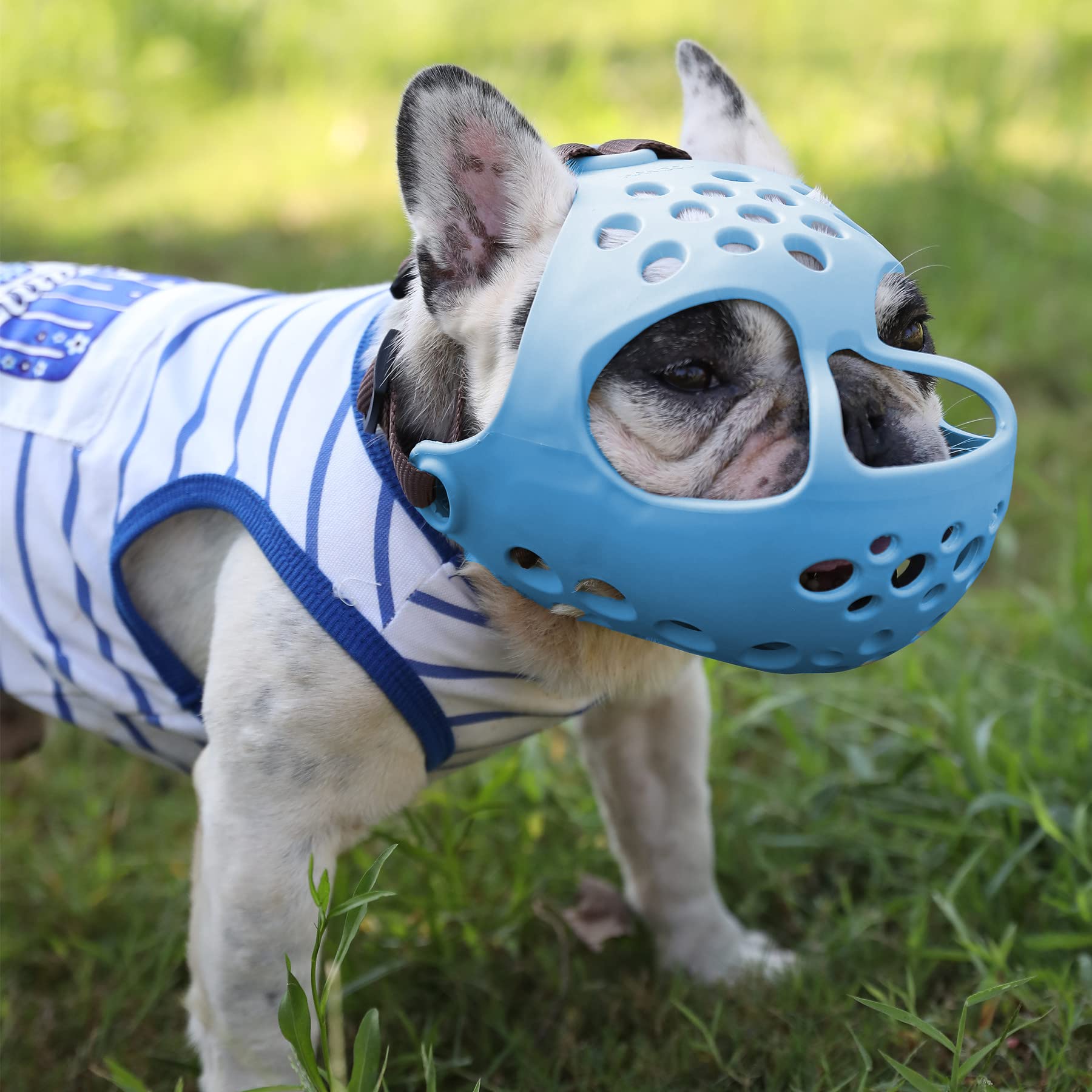 Jyhy Short Snout Dog Muzzles,Soft Silicone Adjustable Breathable Bulldog Muzzle For Biting Chewing Barking Training,Ideal For Flat-Faced Dogs (Small/10-13'(Pack Of 1), Blue)
