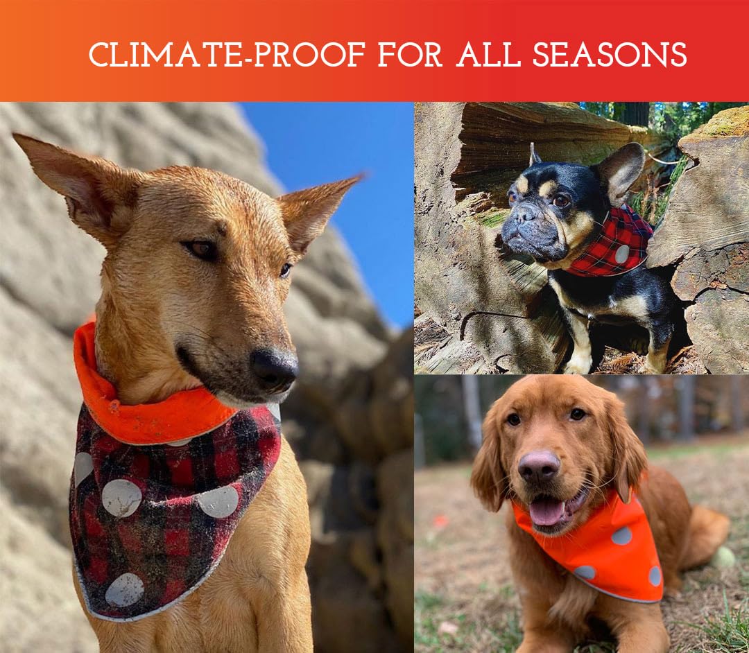 Spot The Dog! Reflective Dog Bandanas - Reversible High Visibility Safety Dog Accessories For Small, Large Dogs, Collar, Scarf, Bib Gear For Hunting, Walking At Night (Blaze Orange, Red Plaid, M-L)